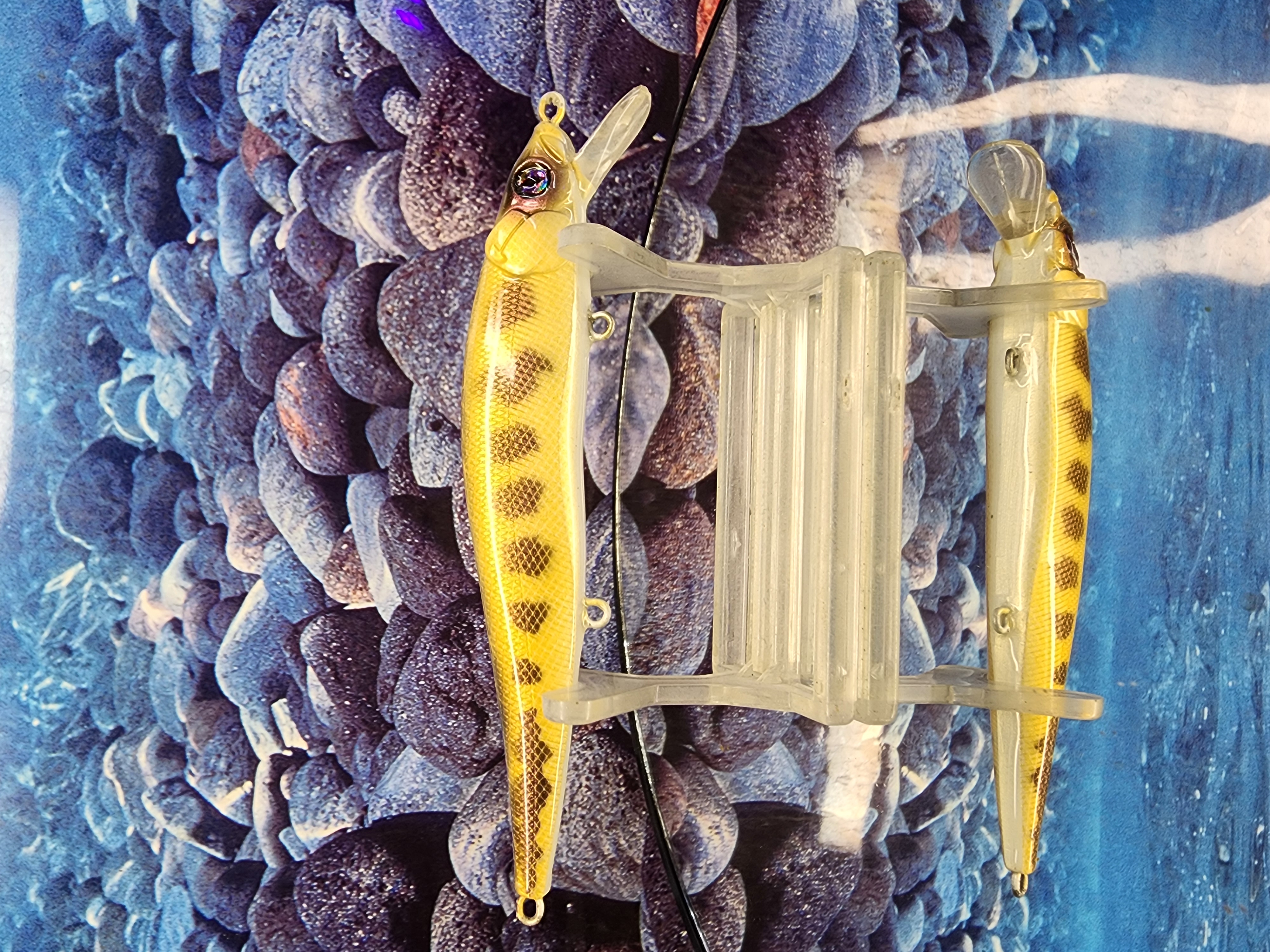 THE BONE STRIPPER 110+1