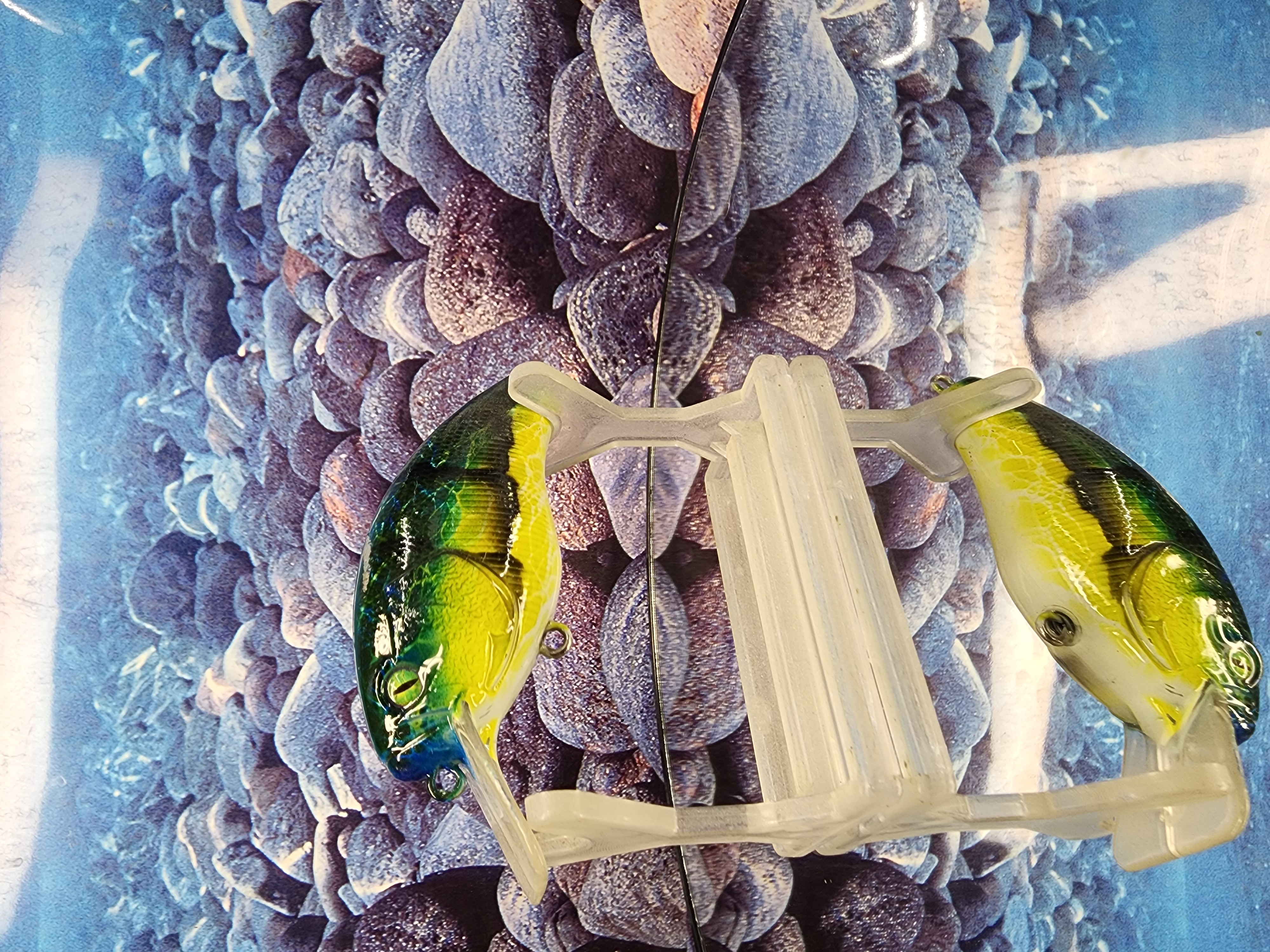 2.5 Emerald Proof Bruiser Crankbait