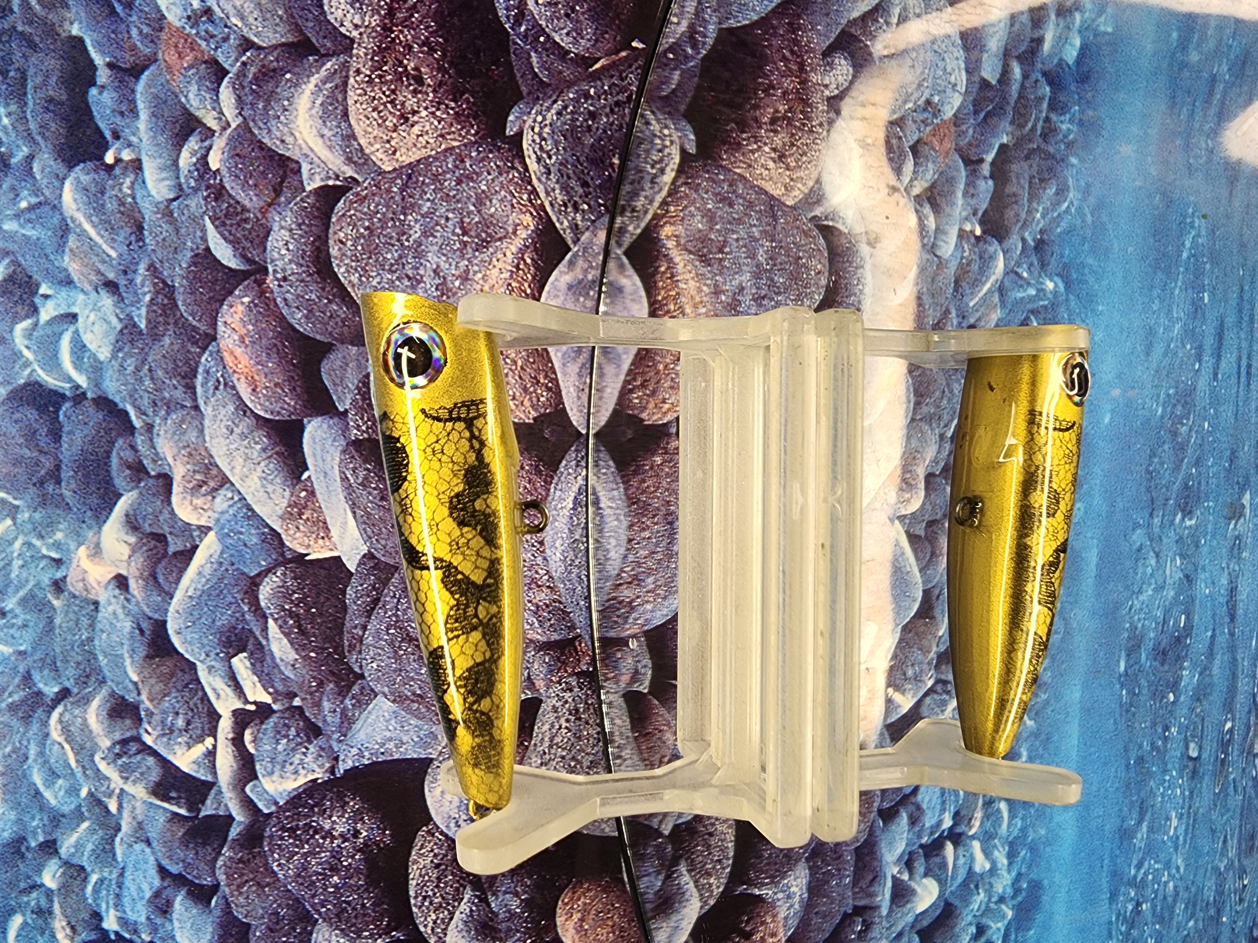 LACE and LIQUOR POPPER