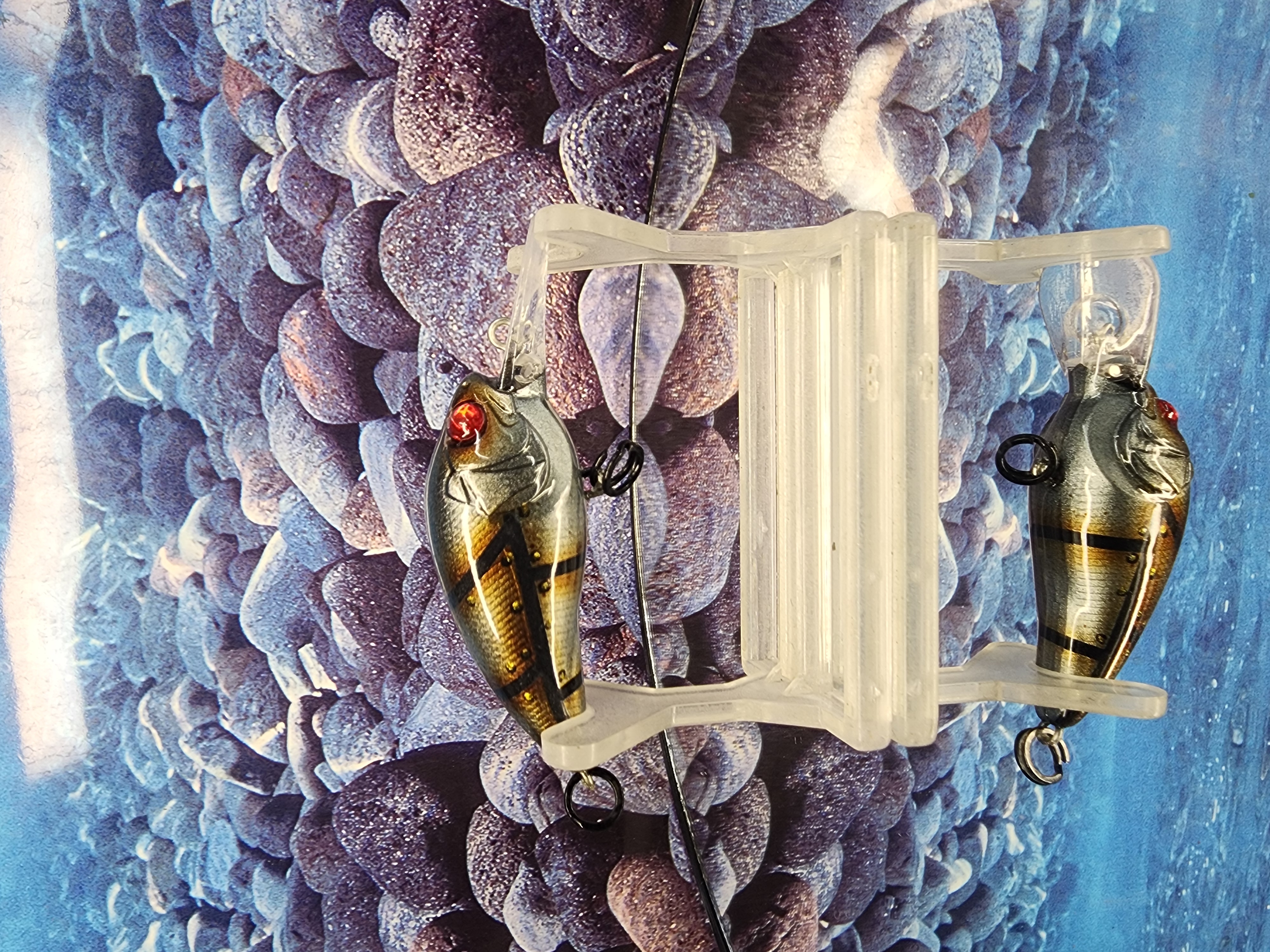 Iron-Stitch Shad Rambling Wart