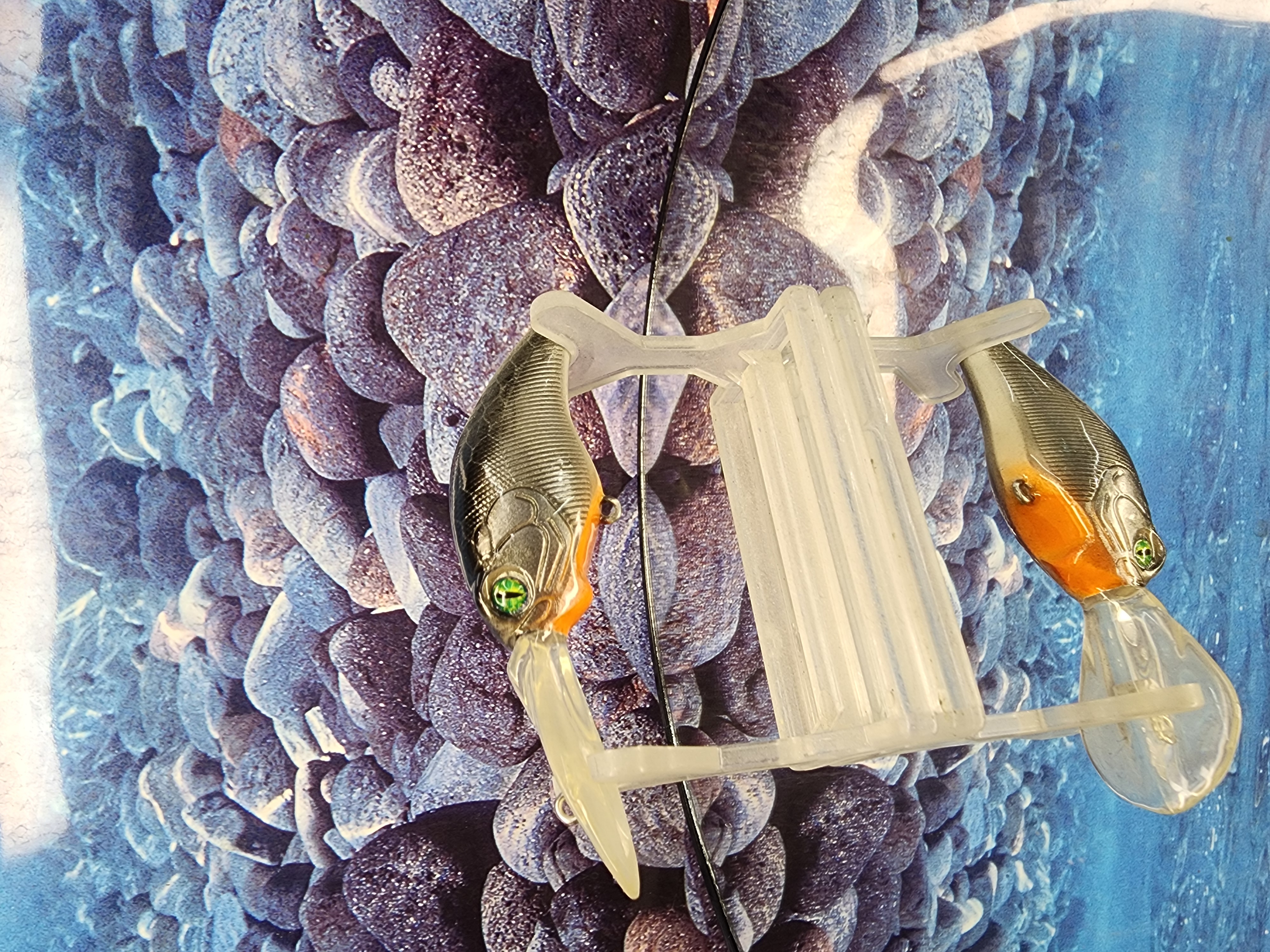 Abassyal Stalker Rambling Wart