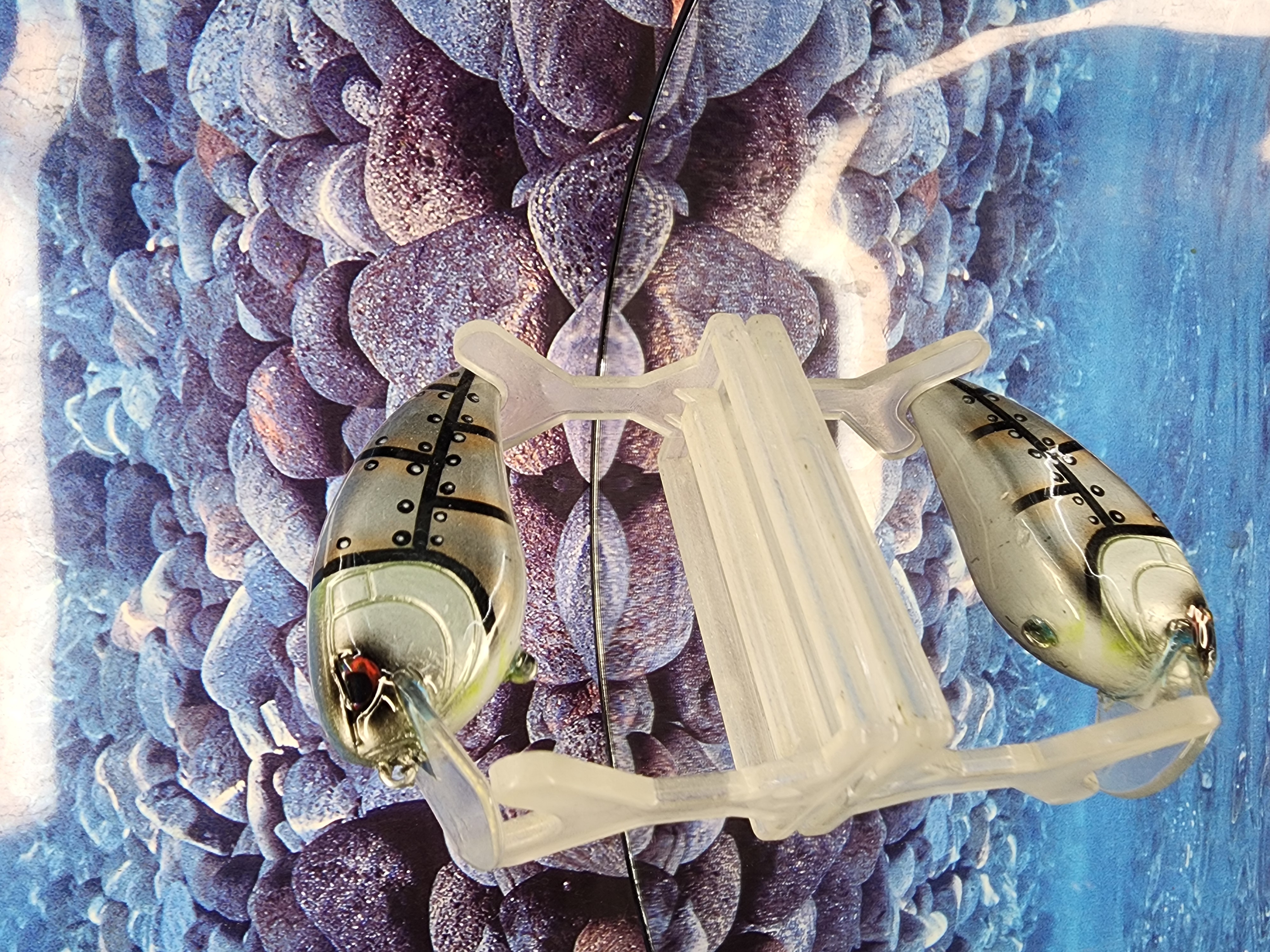 Steelhead Lil Jon Crankbait 