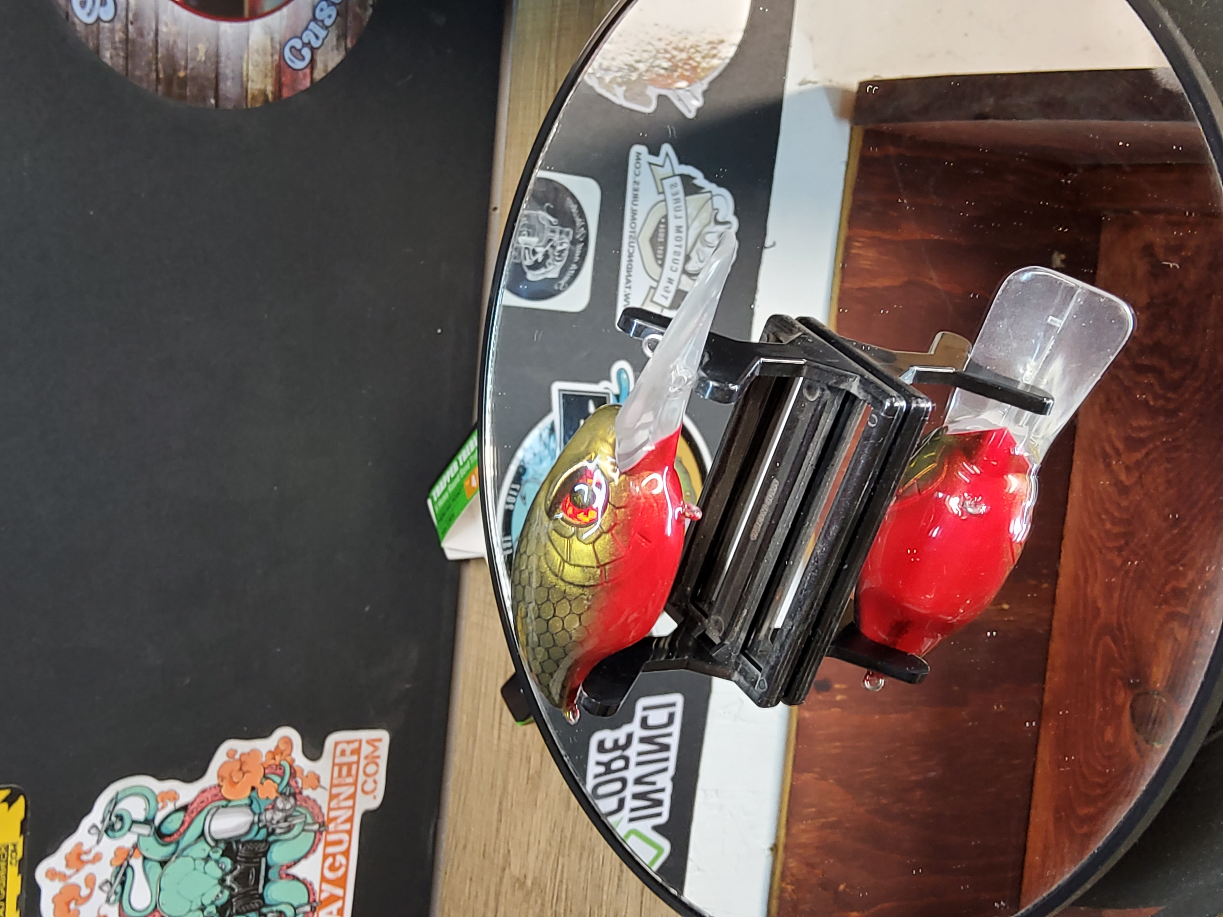 RED BELLY SHINER PL STRIKER