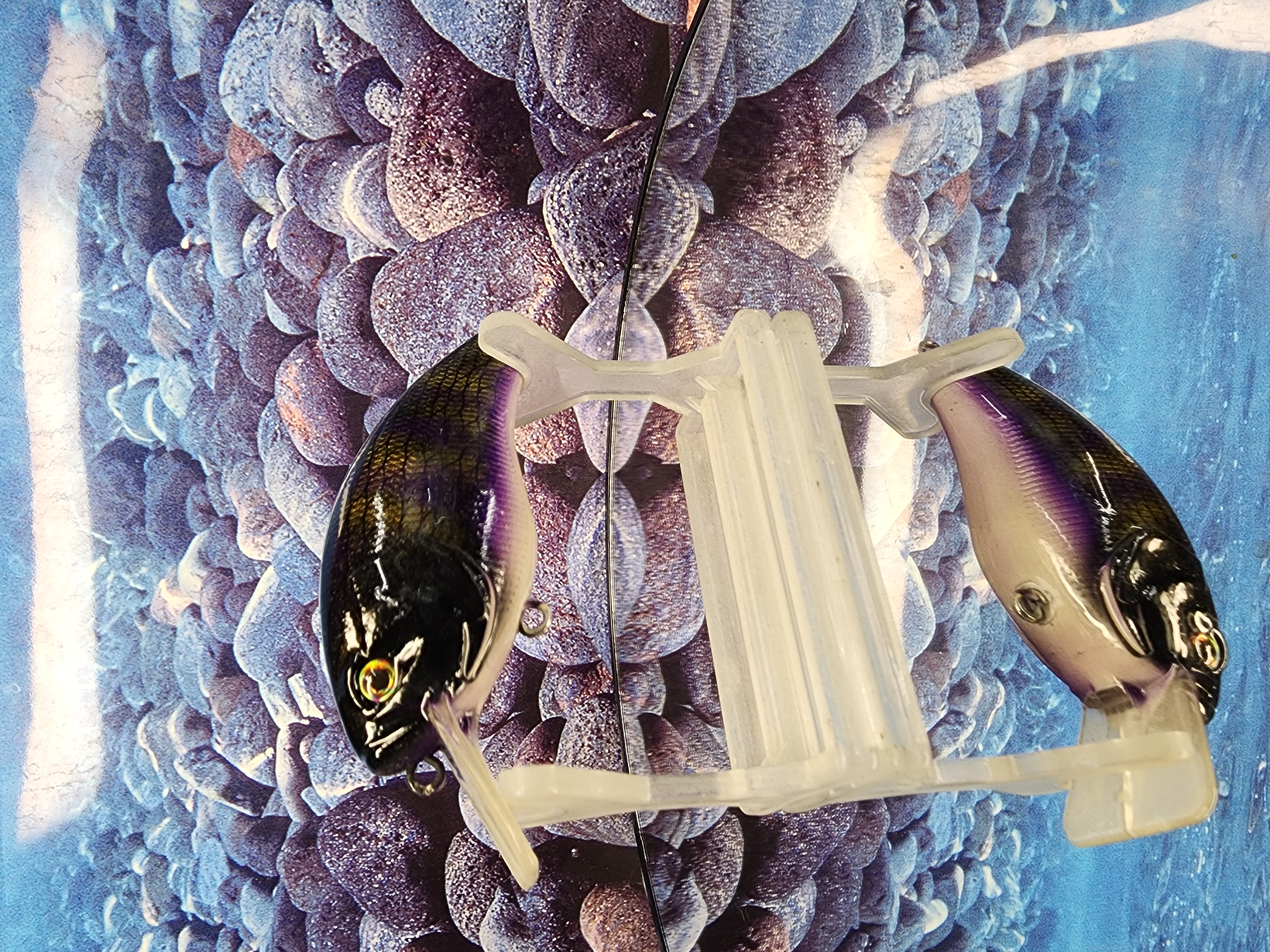 Midnight Special 2.5 Crankbait