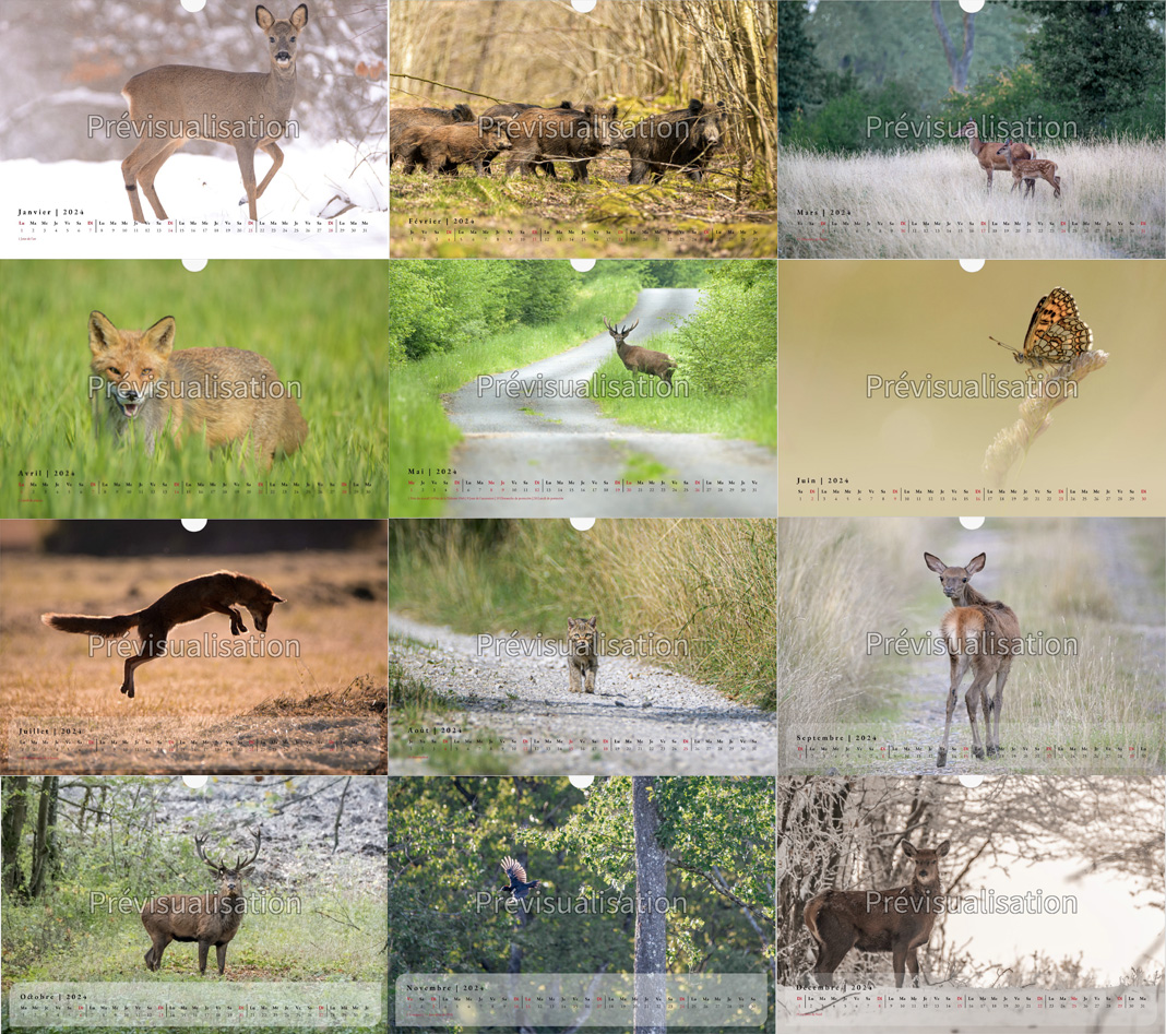 Calendrier 2024