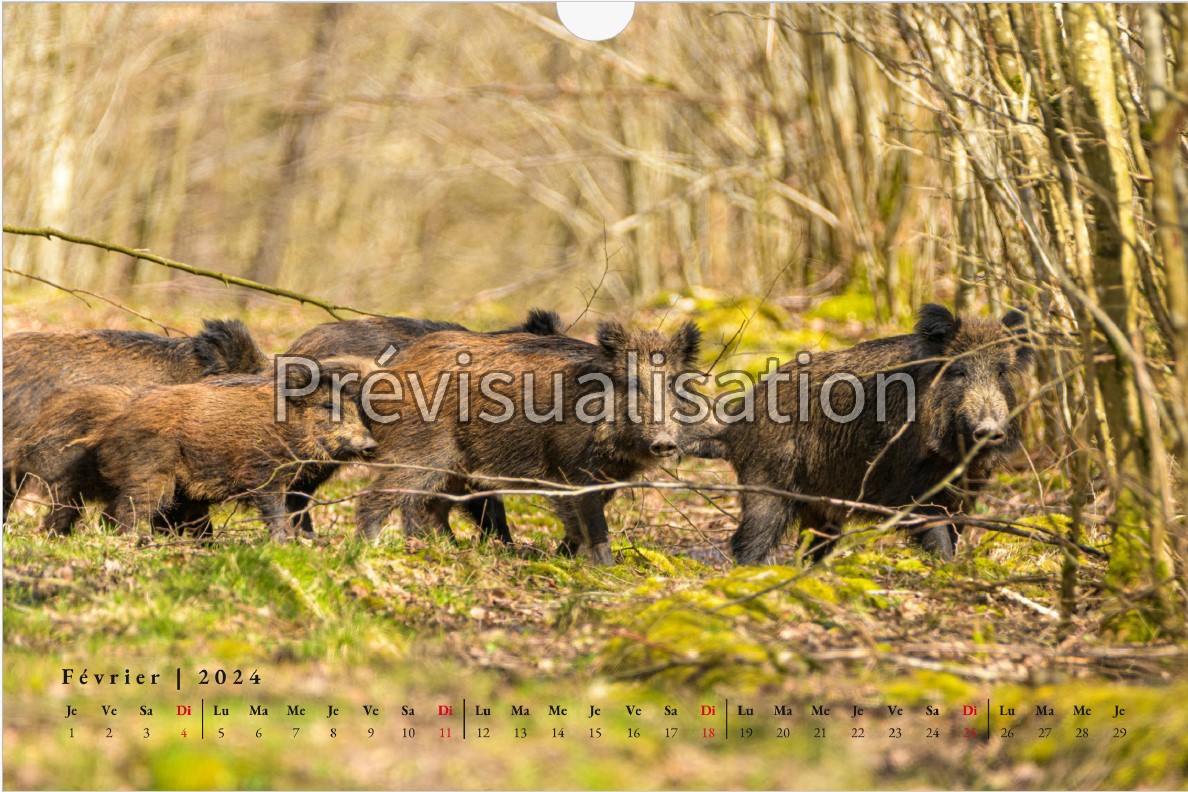 Calendrier 2024
