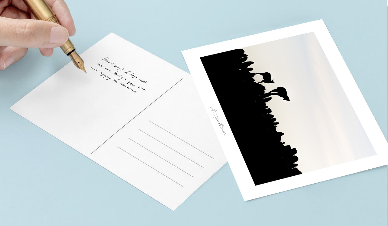 Carte postale – Nature sauvage