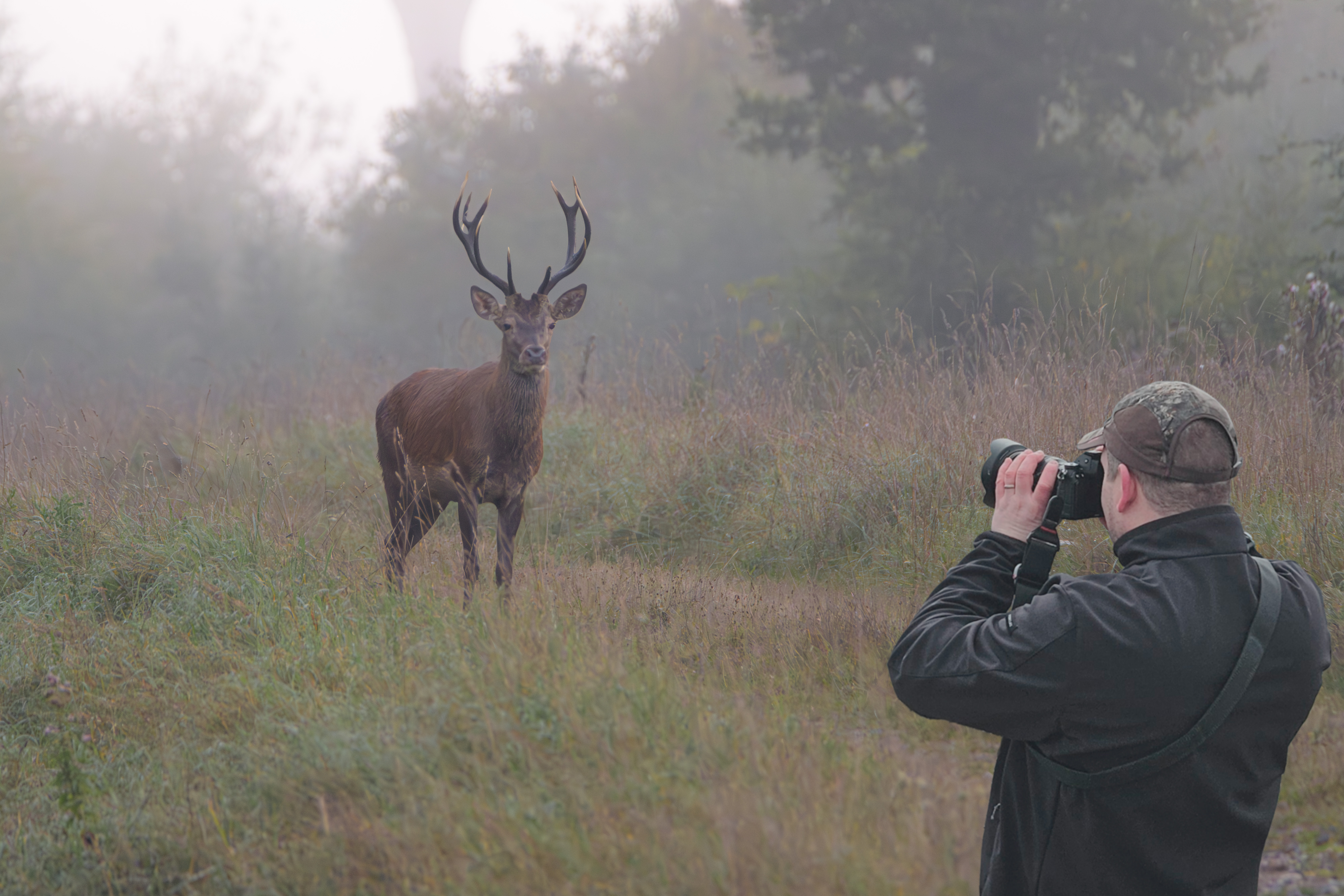 Stage photo — apprenez à saisir l’instant sauvage