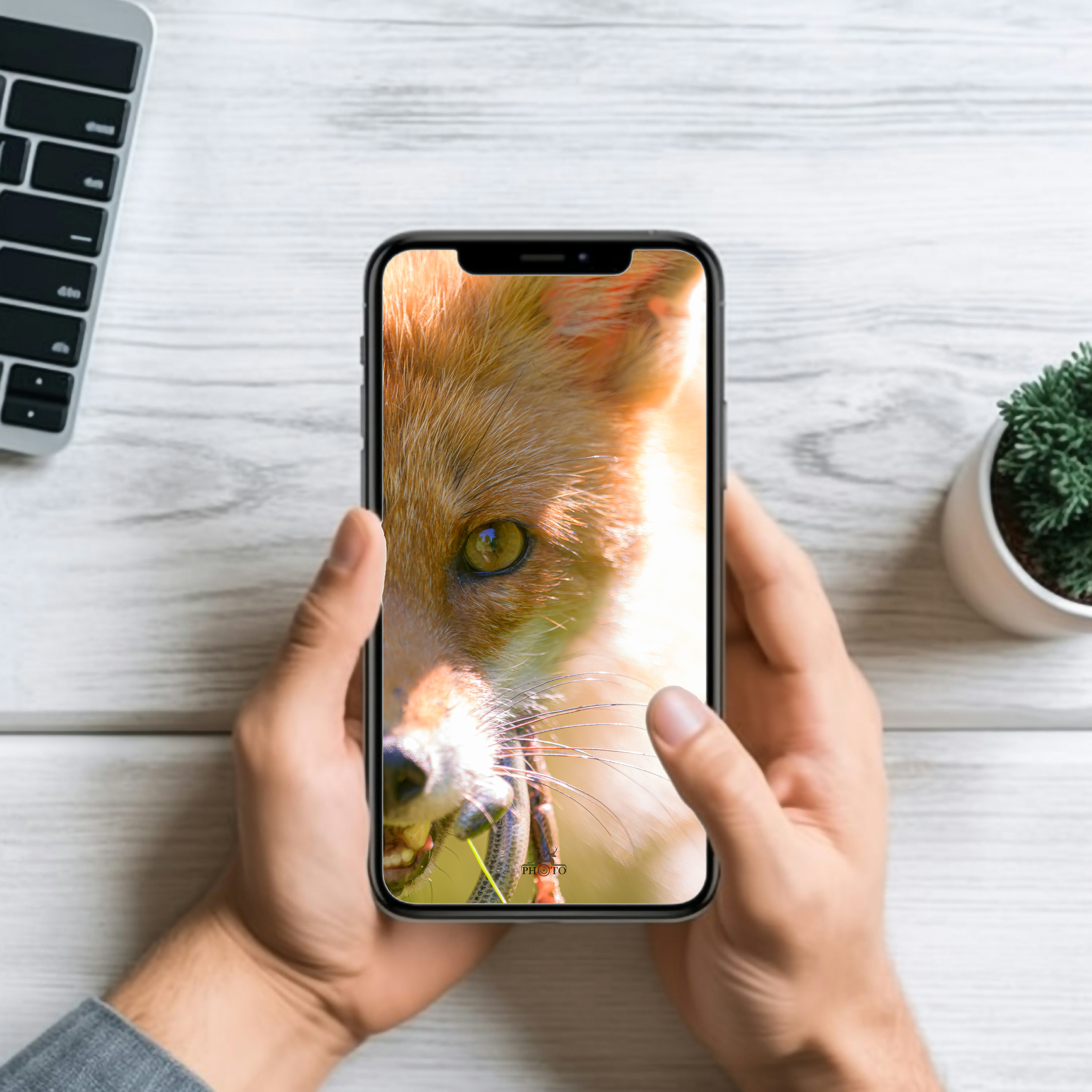 Regard du prédateur, ou d'une mère simplement