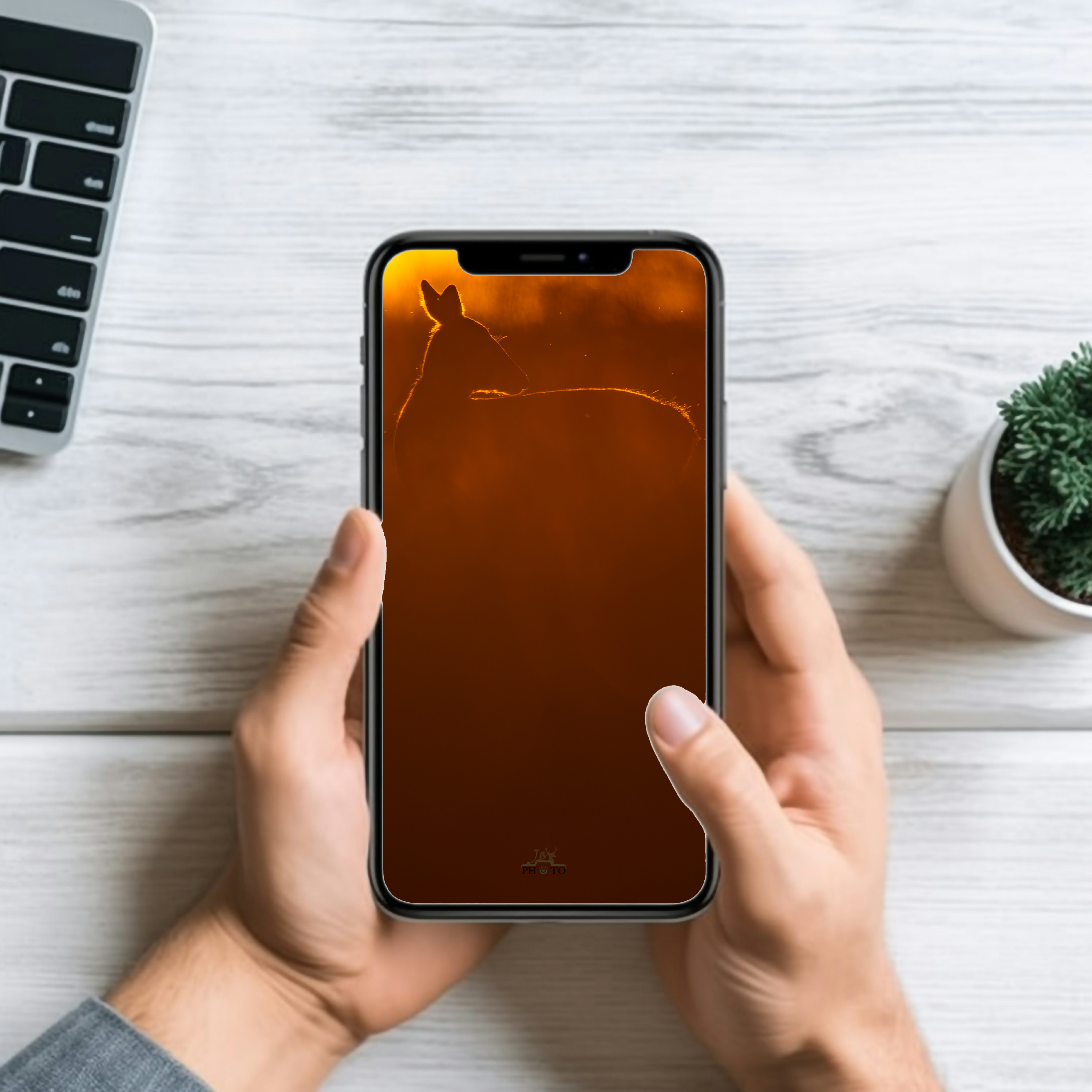 D'or et d'ombre à la fin du jour