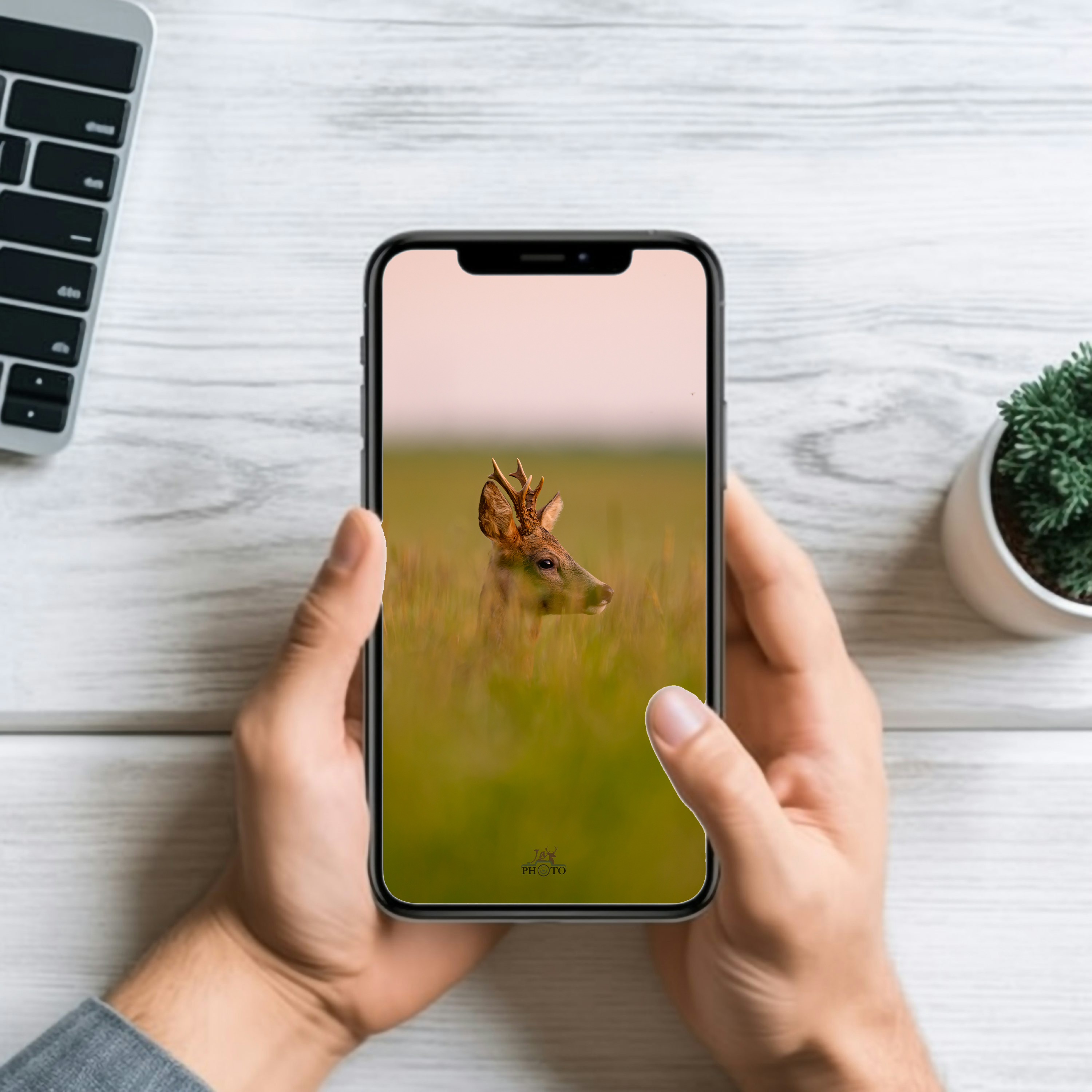 Dans les hautes herbes, la vie.