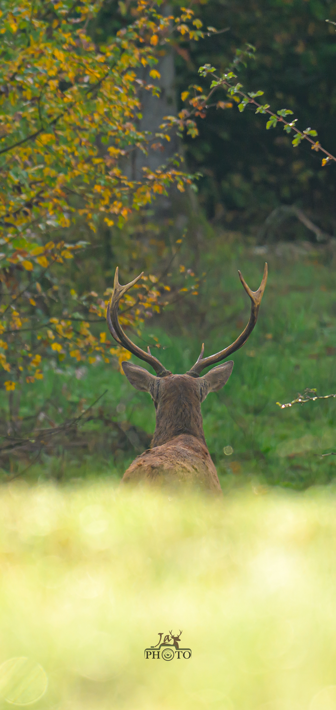 L'heure de s'en aller