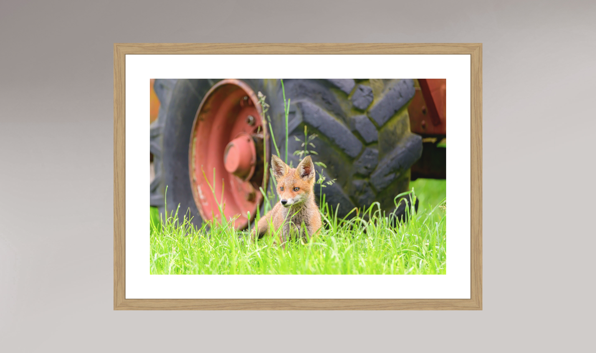 L'animal et la machine