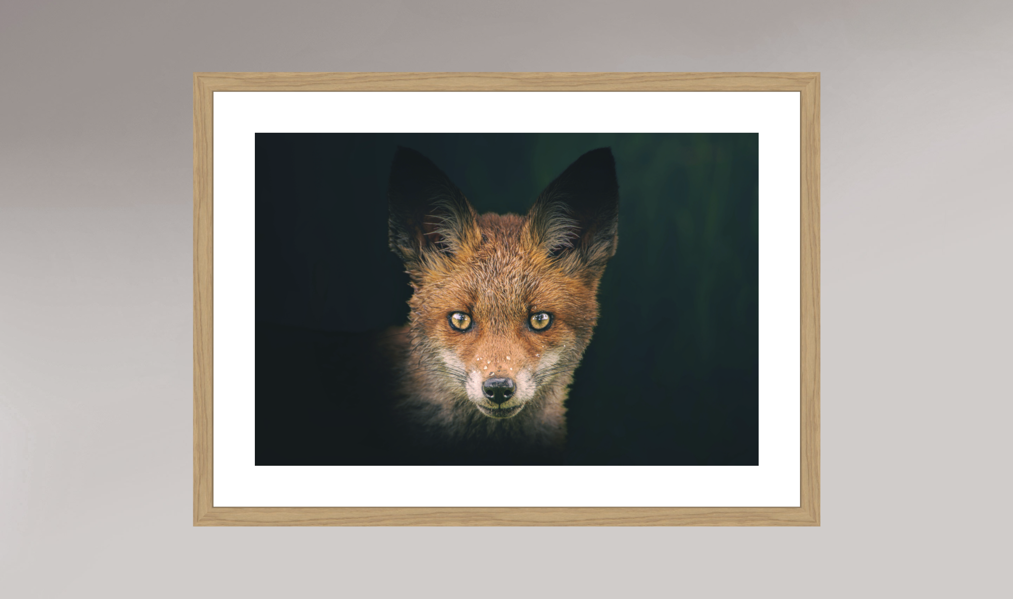 Le regard du sauvage