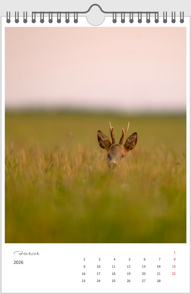 DUO PACK – 2 Calendriers JayPhoto 2026