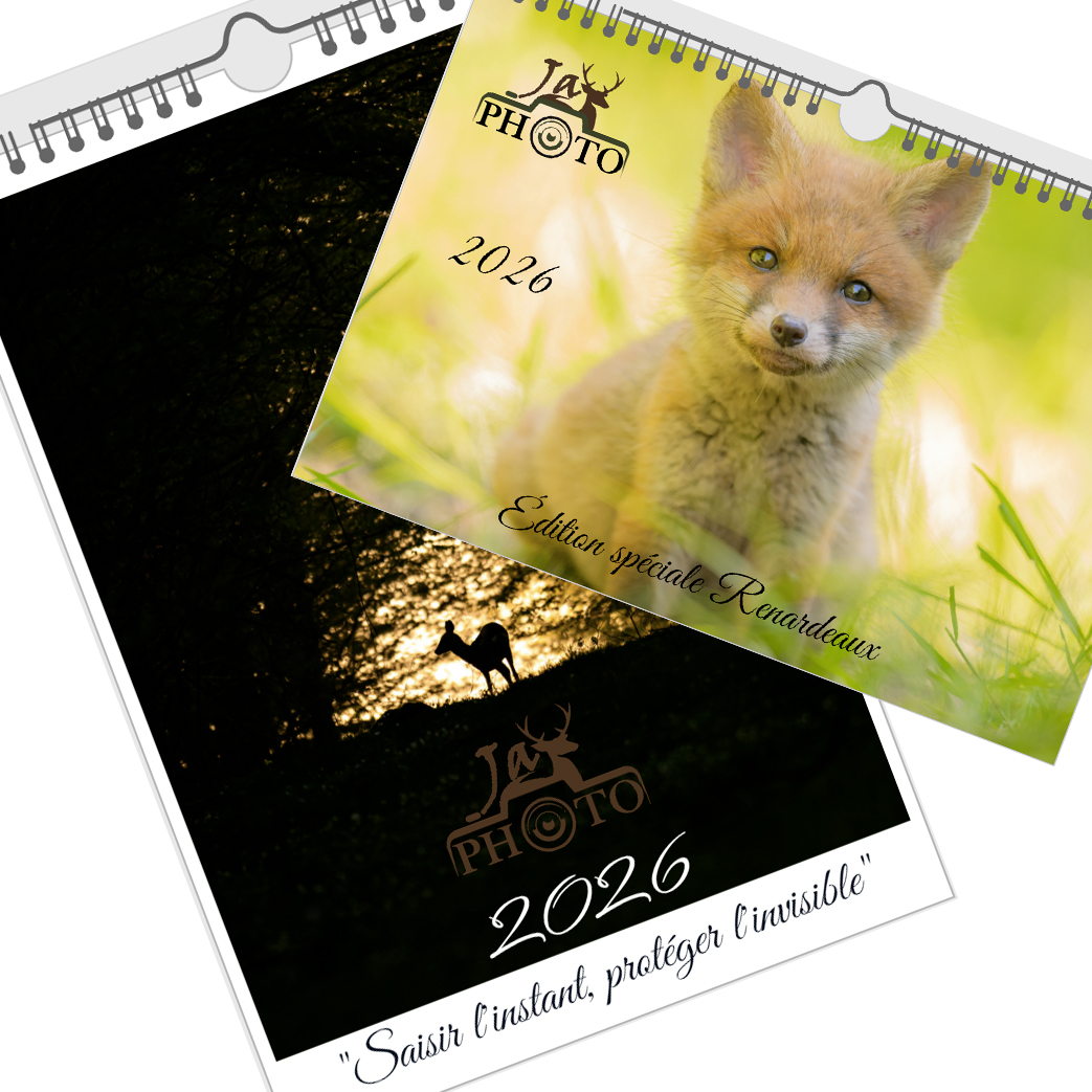 DUO PACK – 2 Calendriers JayPhoto 2026