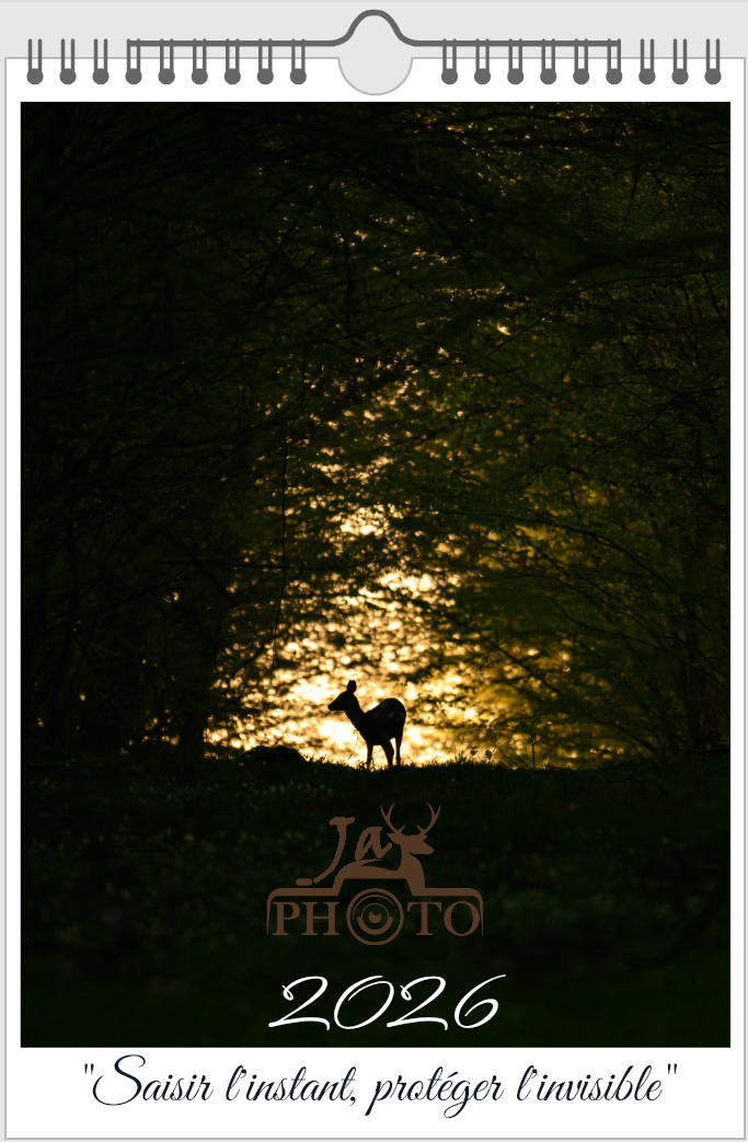 DUO PACK – 2 Calendriers JayPhoto 2026