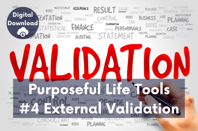 4. Detoxing from External Validation