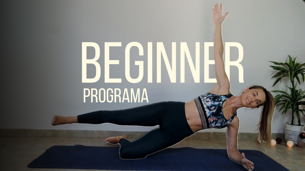 BEGINNER PROGRAMOS PRATĘSIMAS