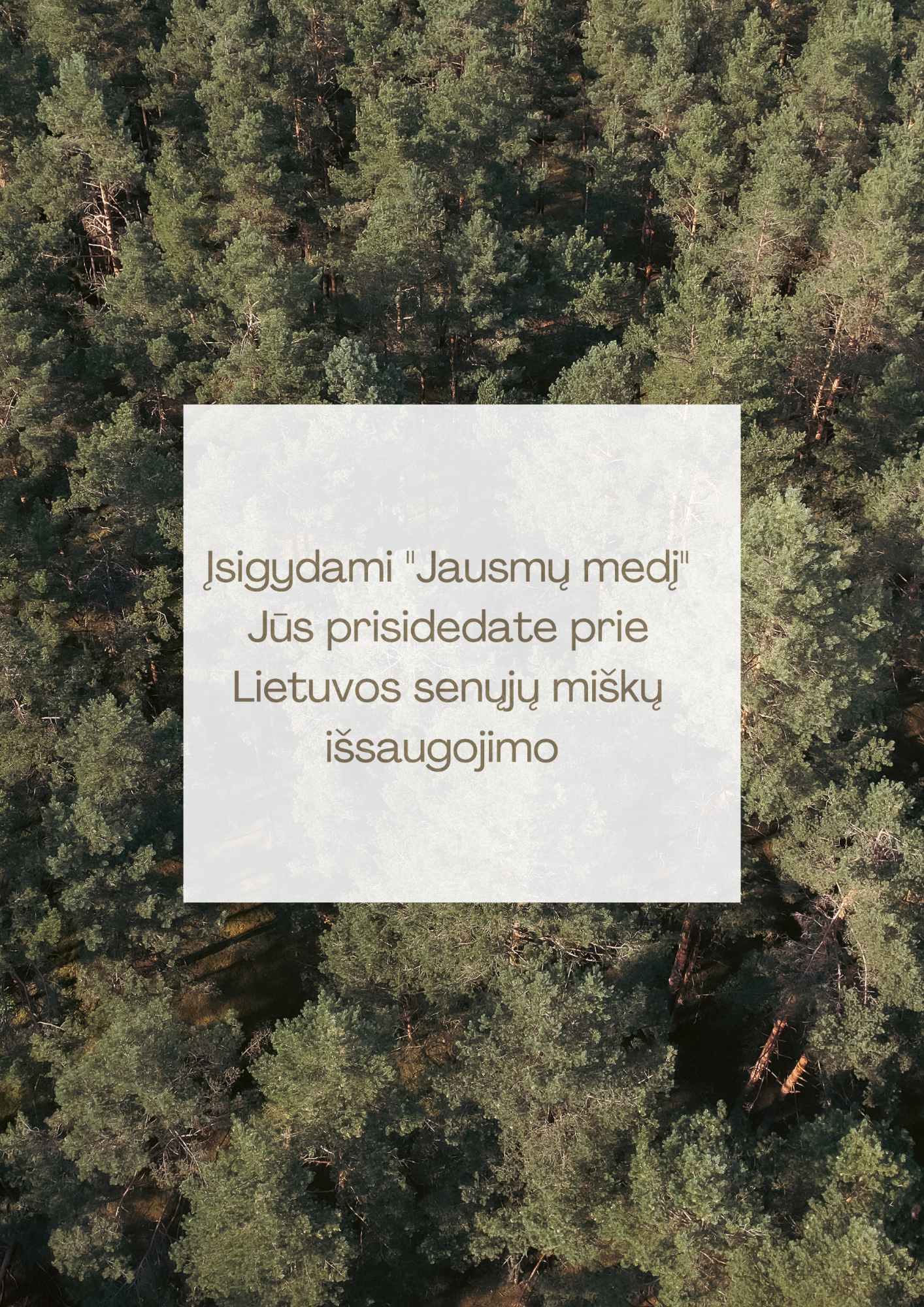 Asmeninė terapija "Jausmų medis"
