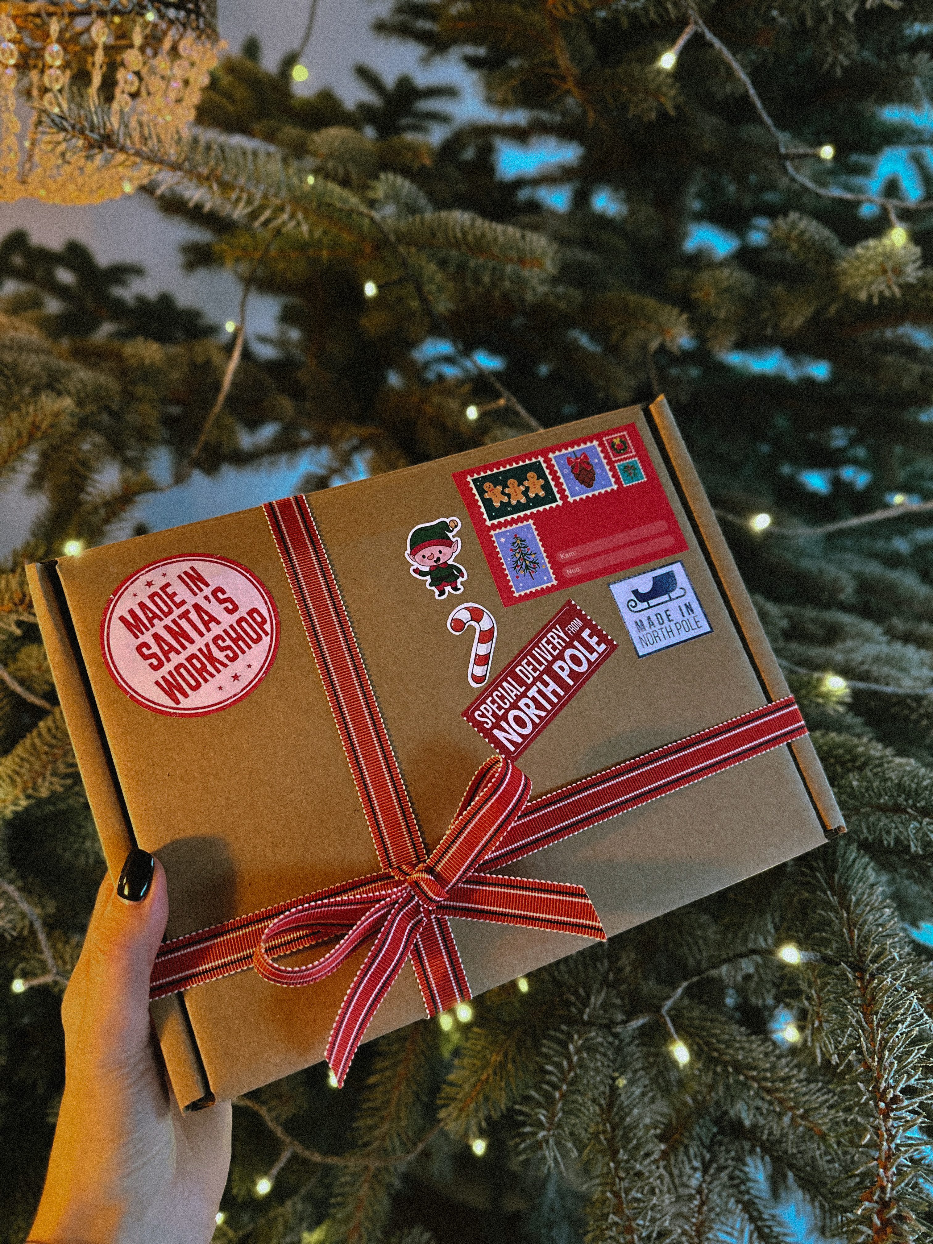 Kalėdų Senelio paštas