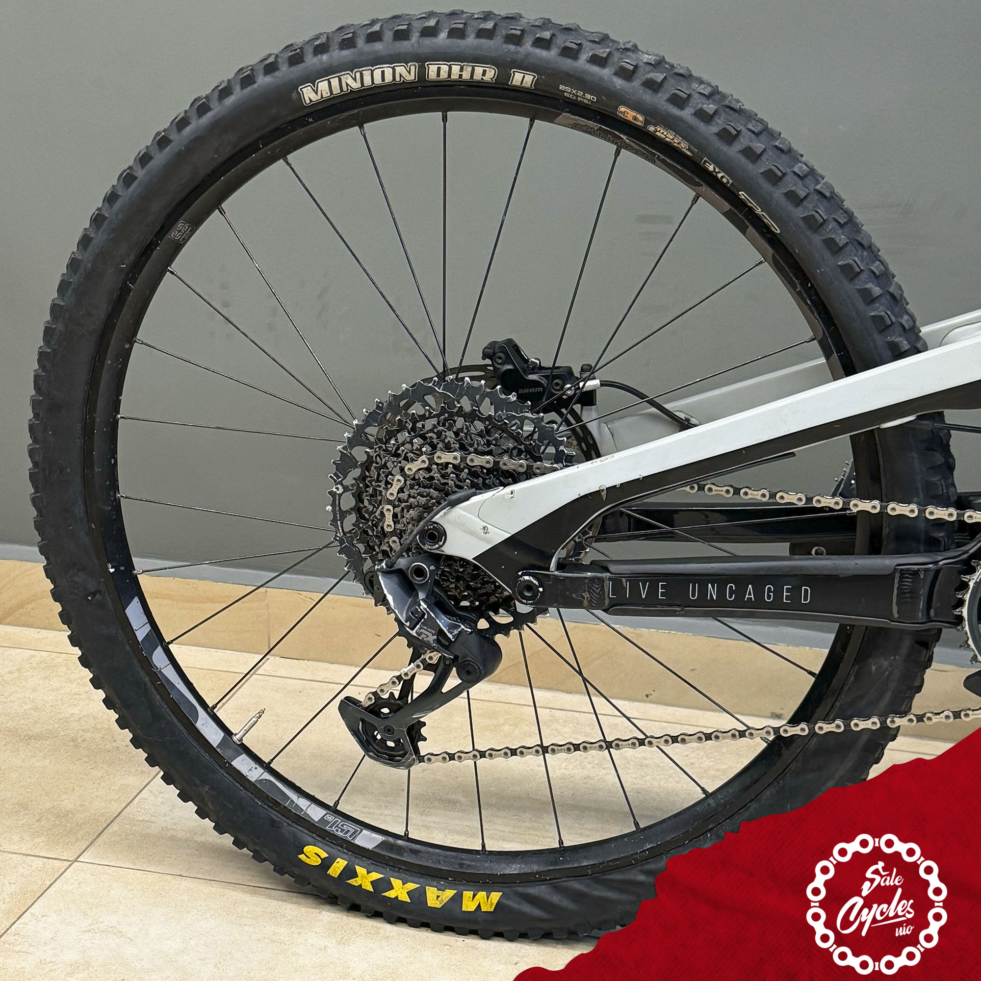 YT Capra Alloy Large 2022