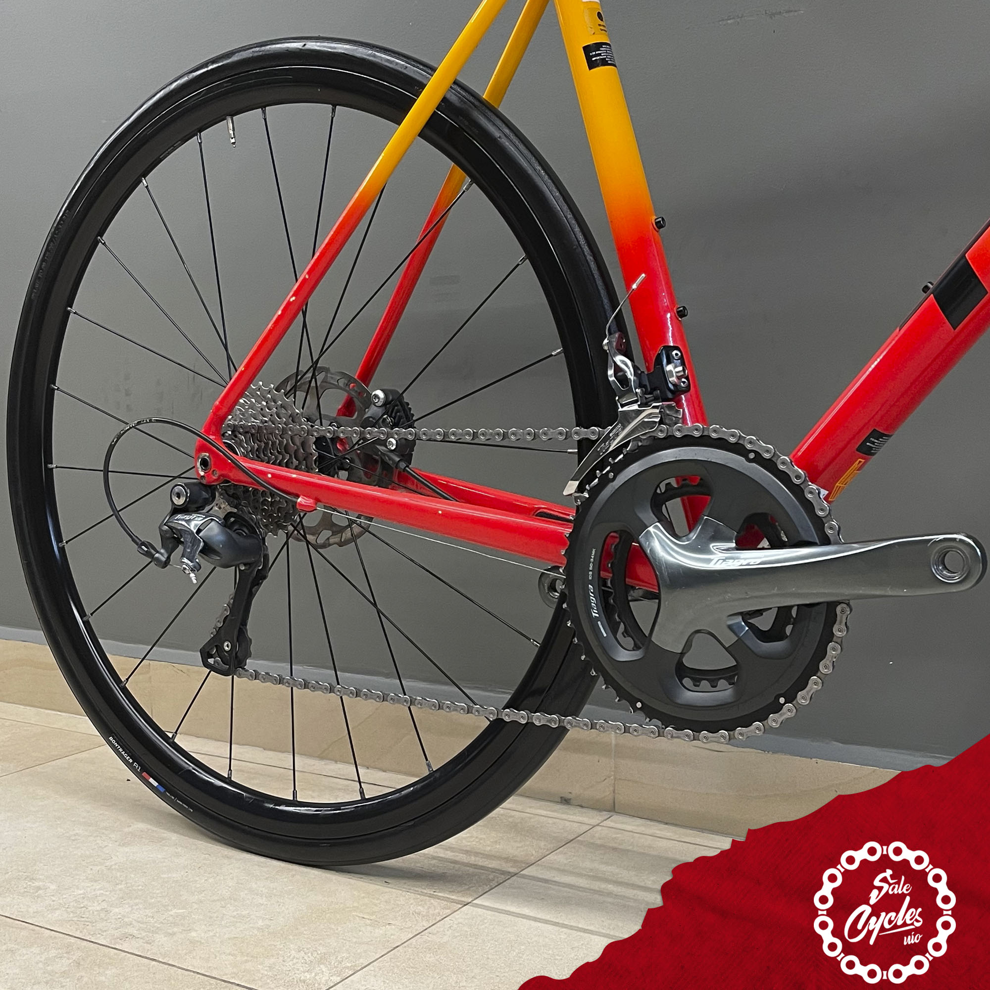 Trek Emonda ALR 4 56 2021
