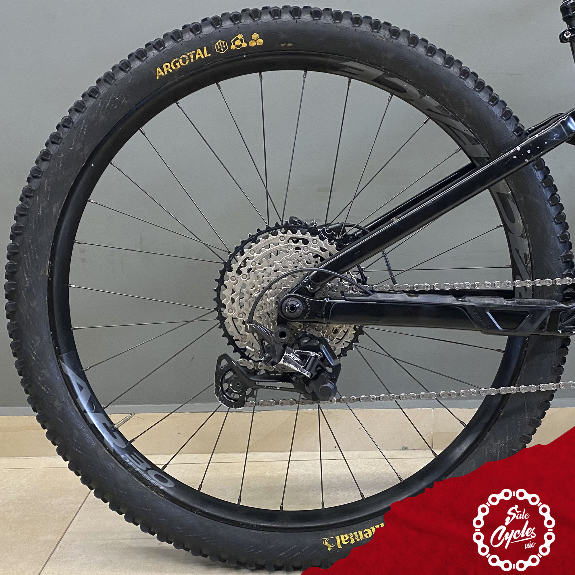 Orbea Rise H15 Small 2022