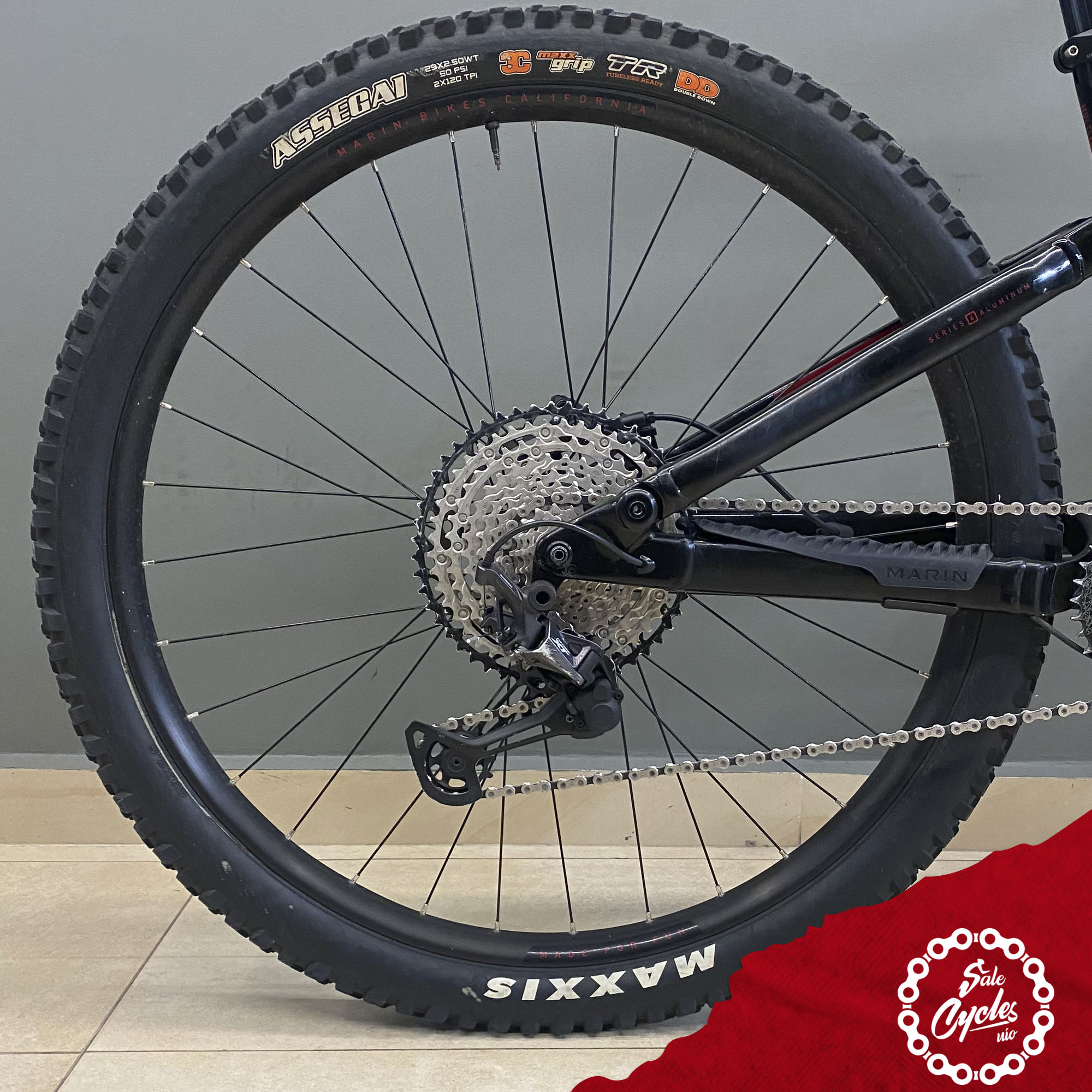 Marin Alpine Trail XR Medium 2022