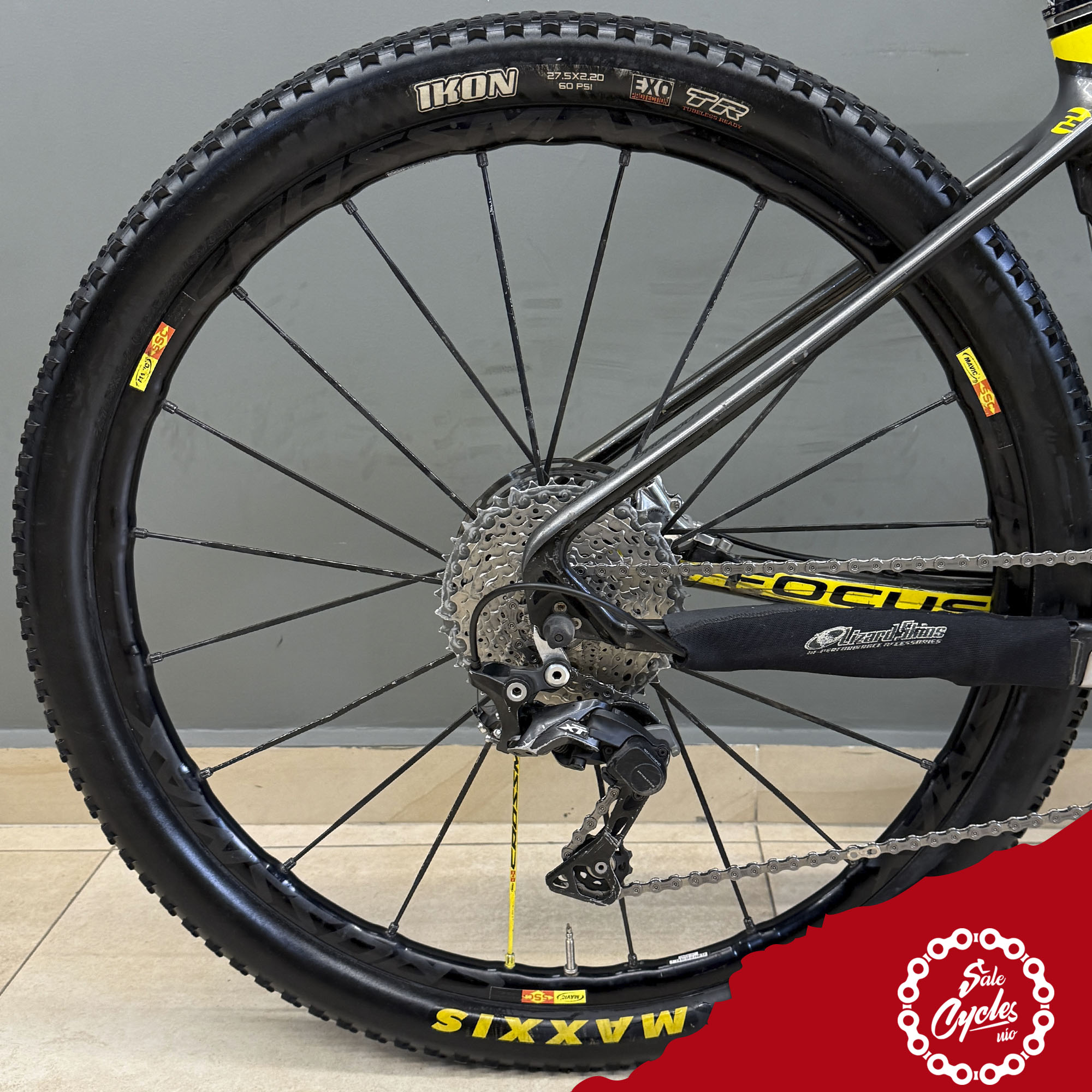 Focus Raven 4.0 Small 2014 