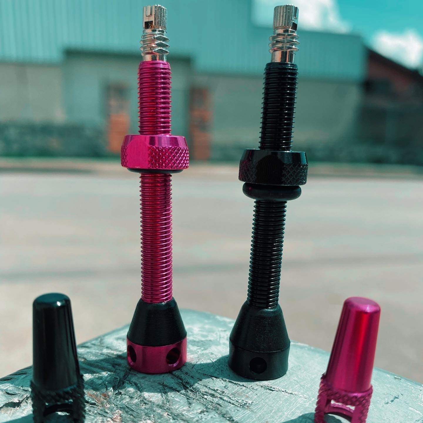 TUBELESS VALVES 55mm