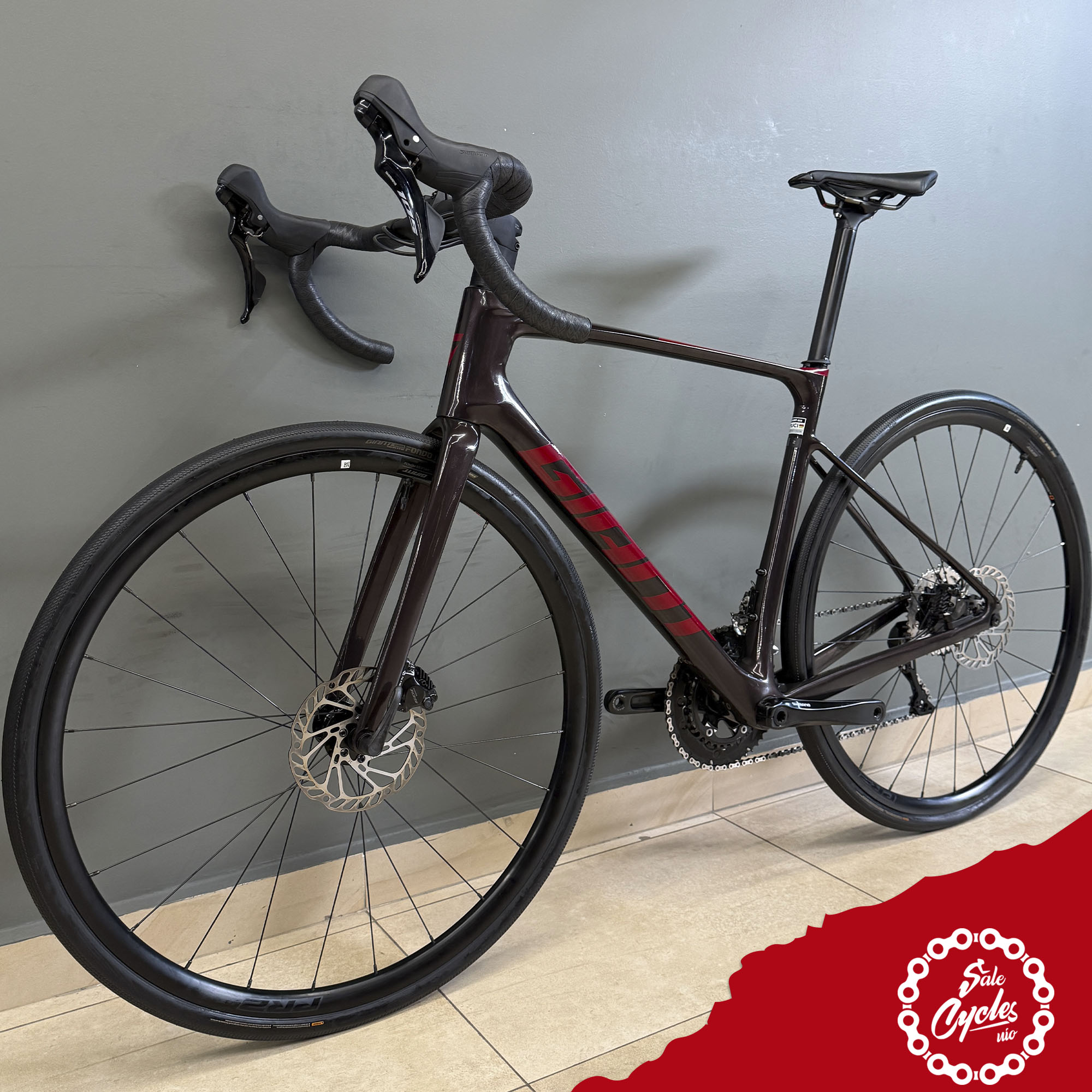 Giant Defy Advanced 2 Medium 2024