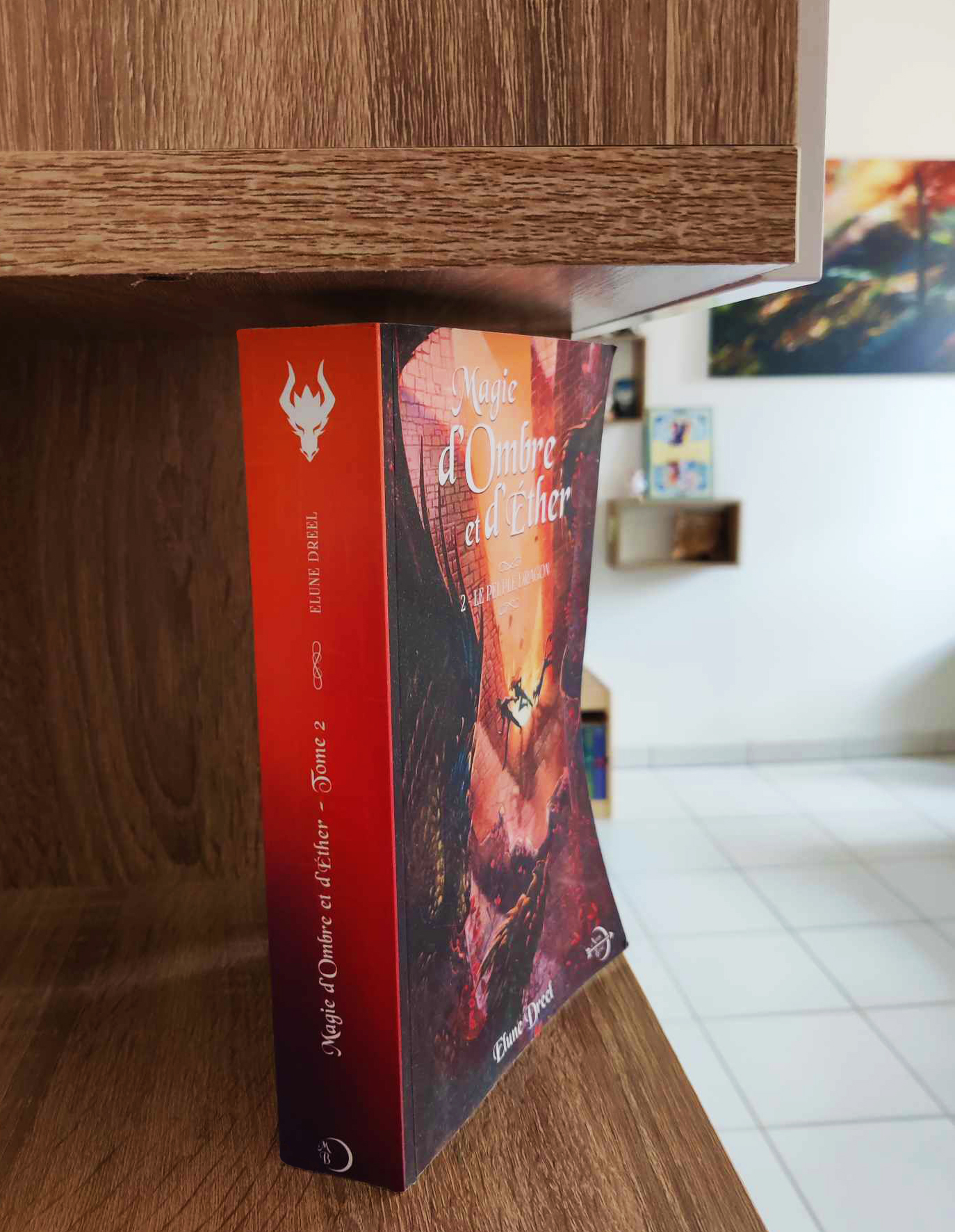 Magie d'Ombre et d'Éther - Tome 2 : Le peuple dragon