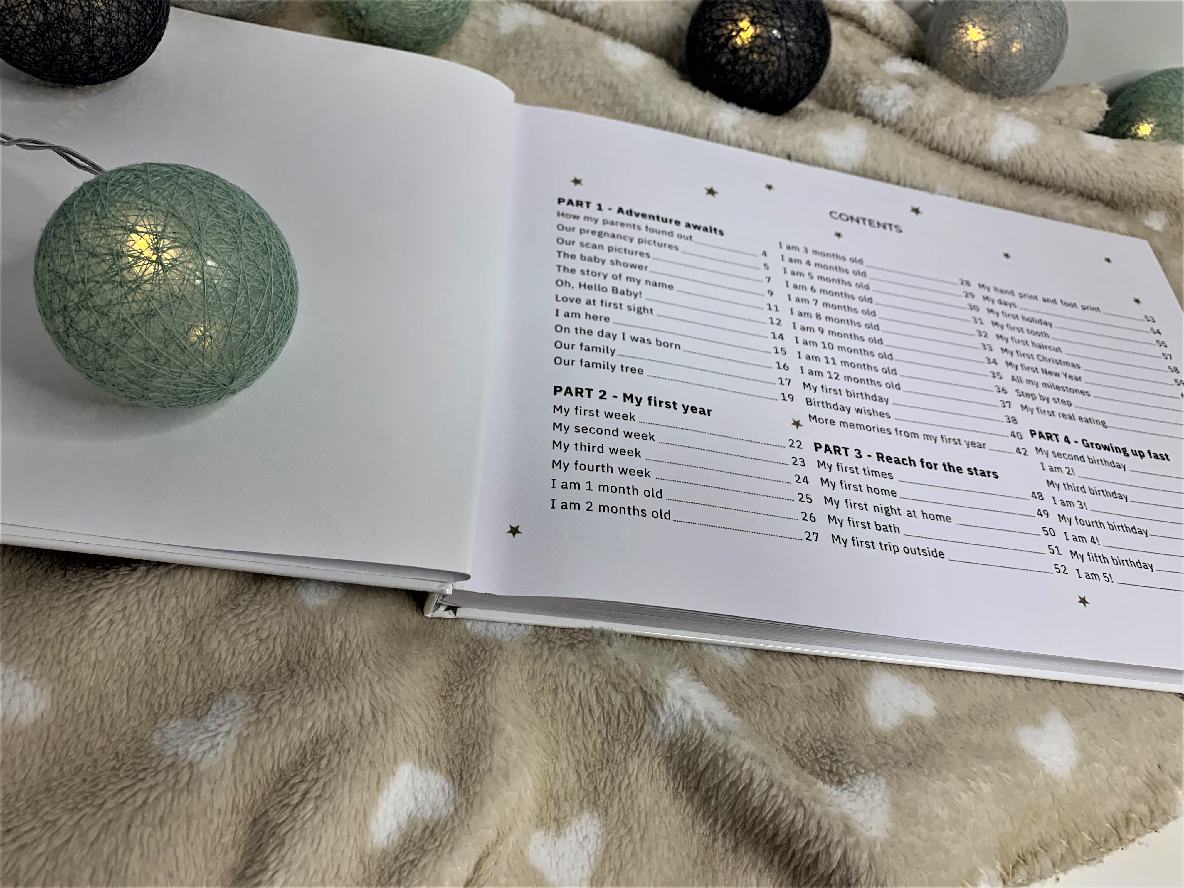 The Little One's Journal