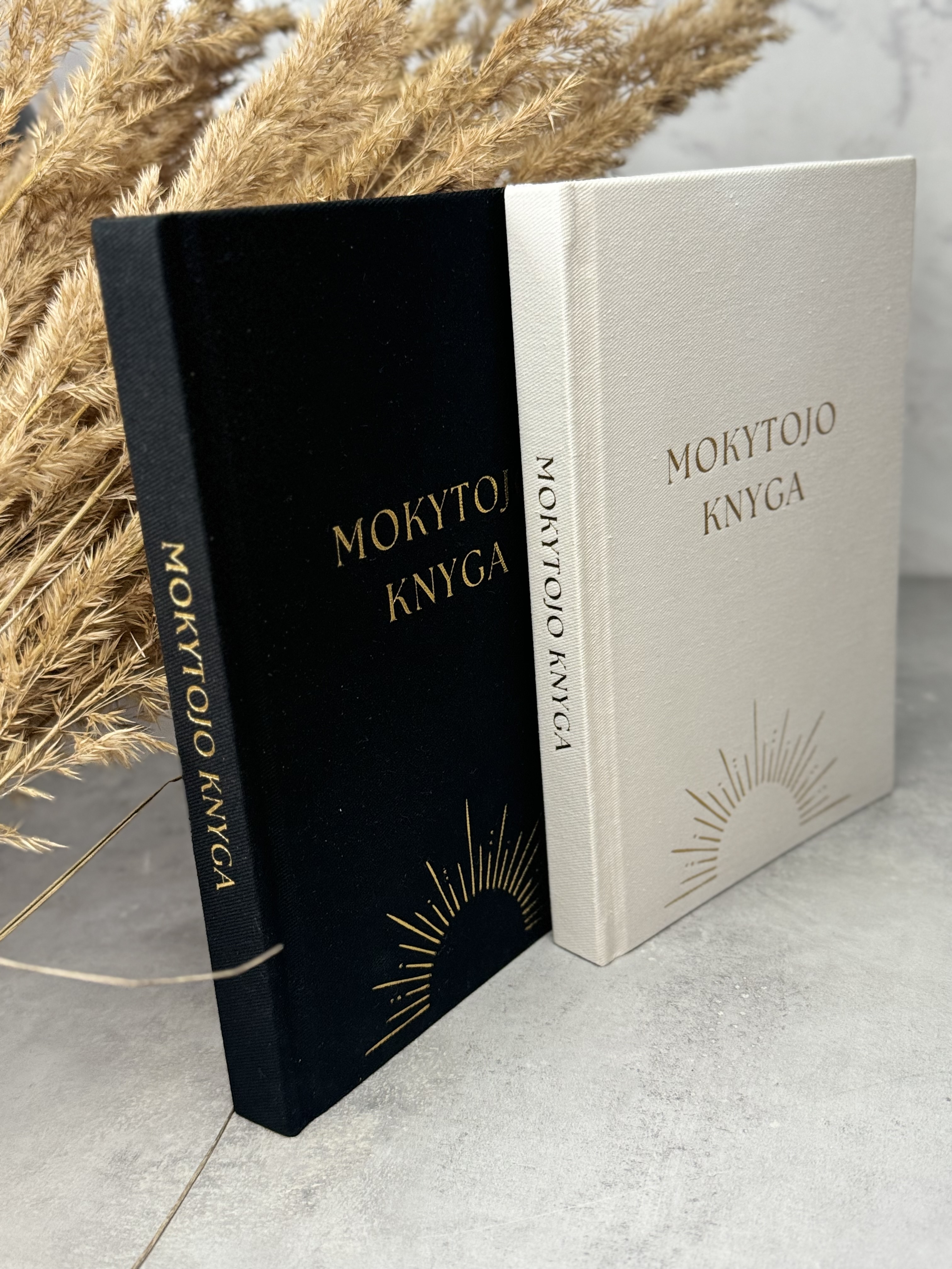 Mokytojo Knyga - Dienynas