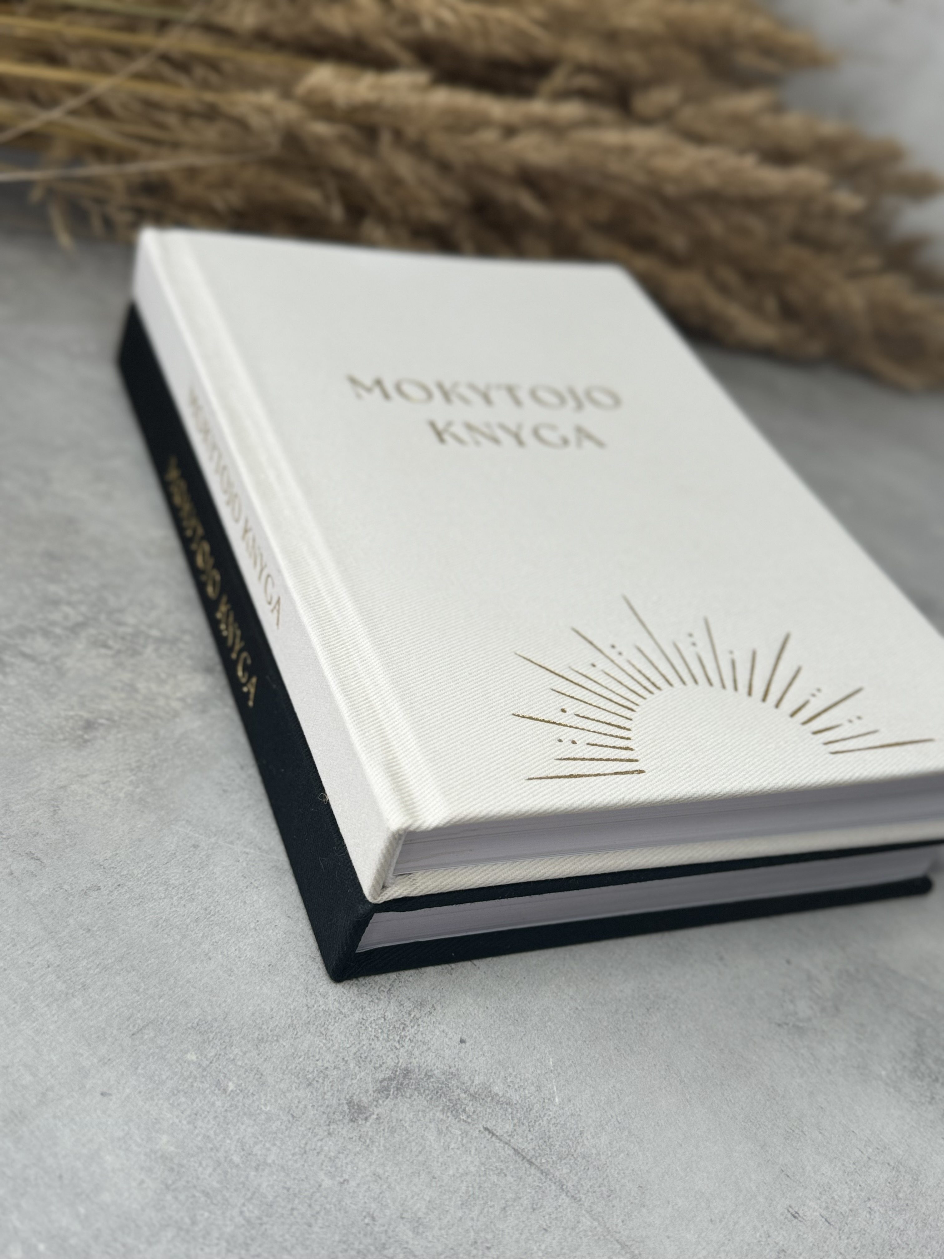 Mokytojo Knyga - Dienynas