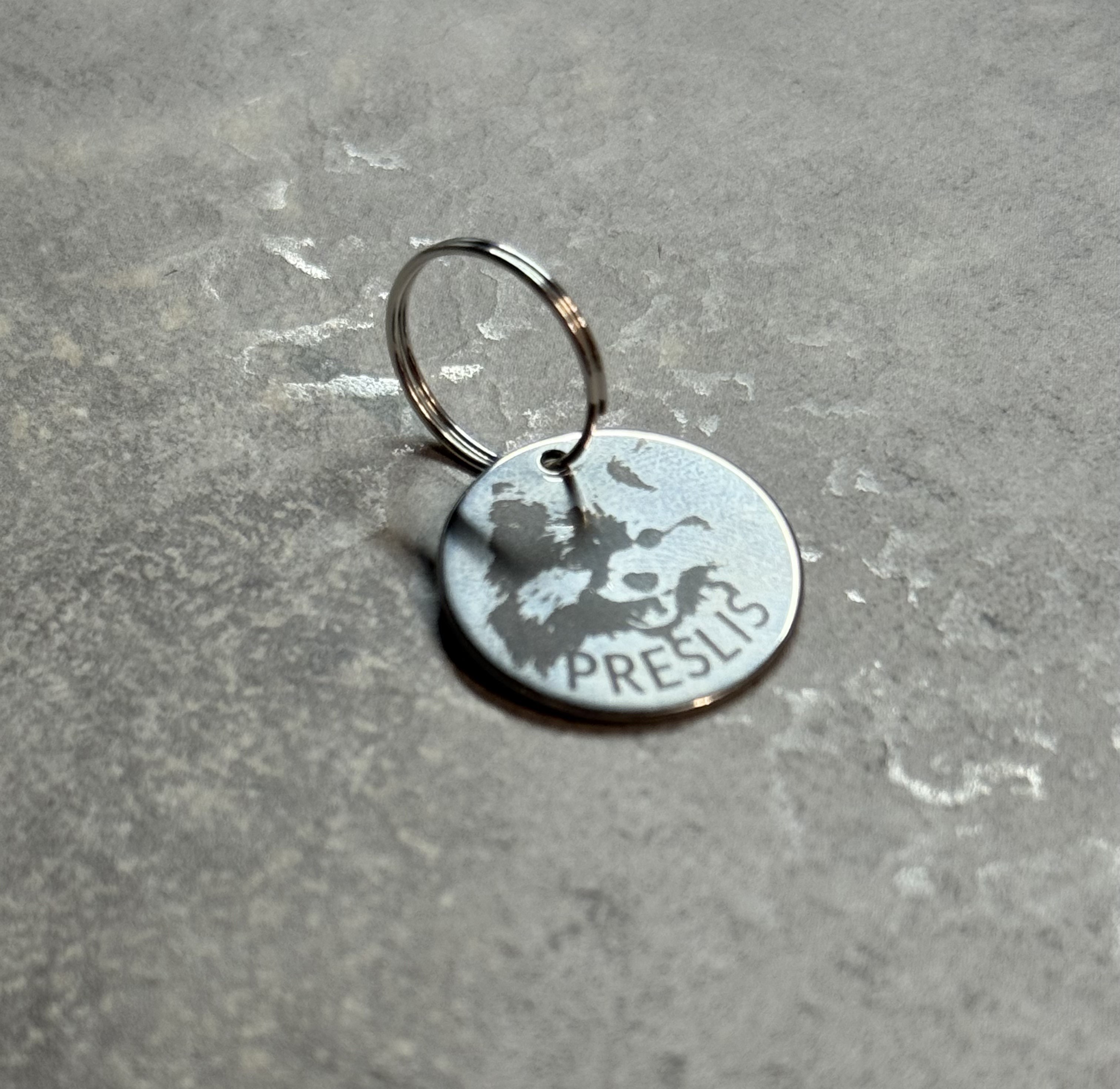 Augintinio pakabukas su graviruota nuotrauka