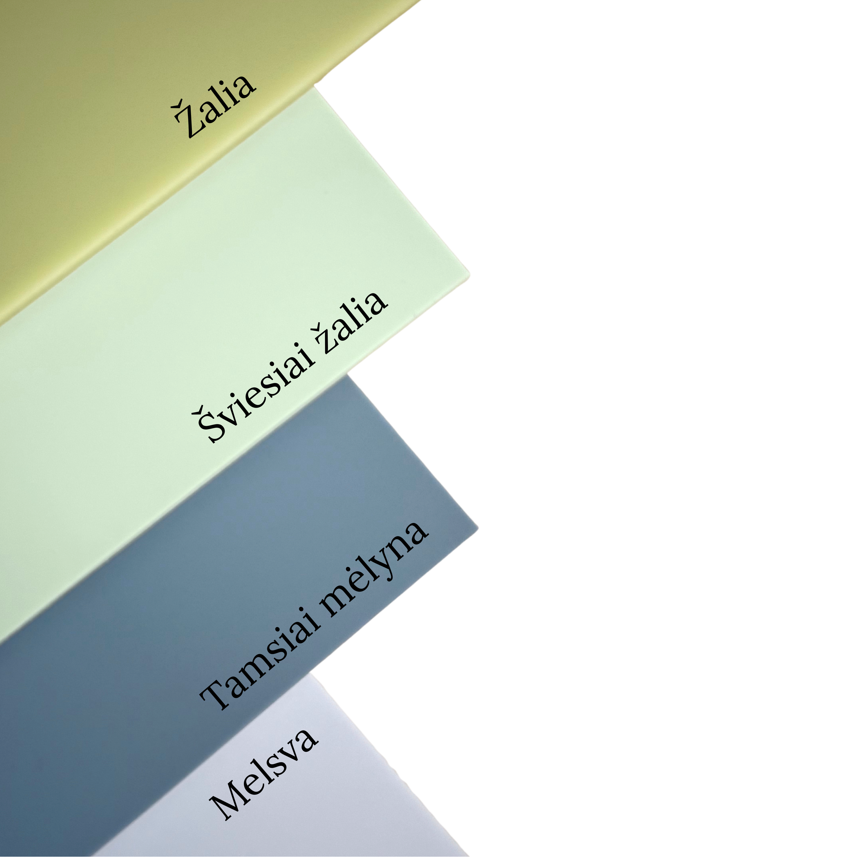 Interaktyvus INSTAGRAM pakabukas