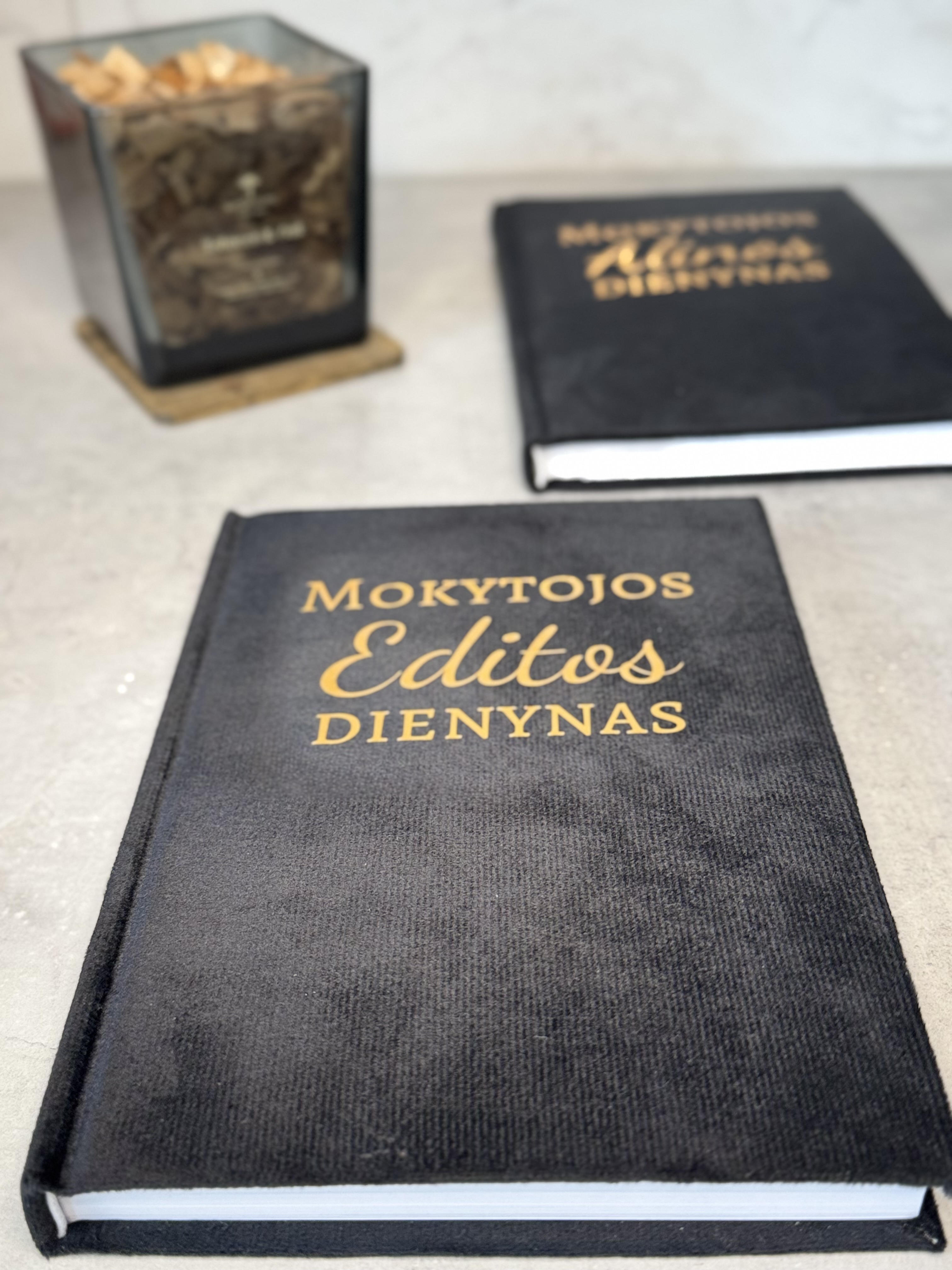 Personalizuota Mokytojo Knyga - Dienynas