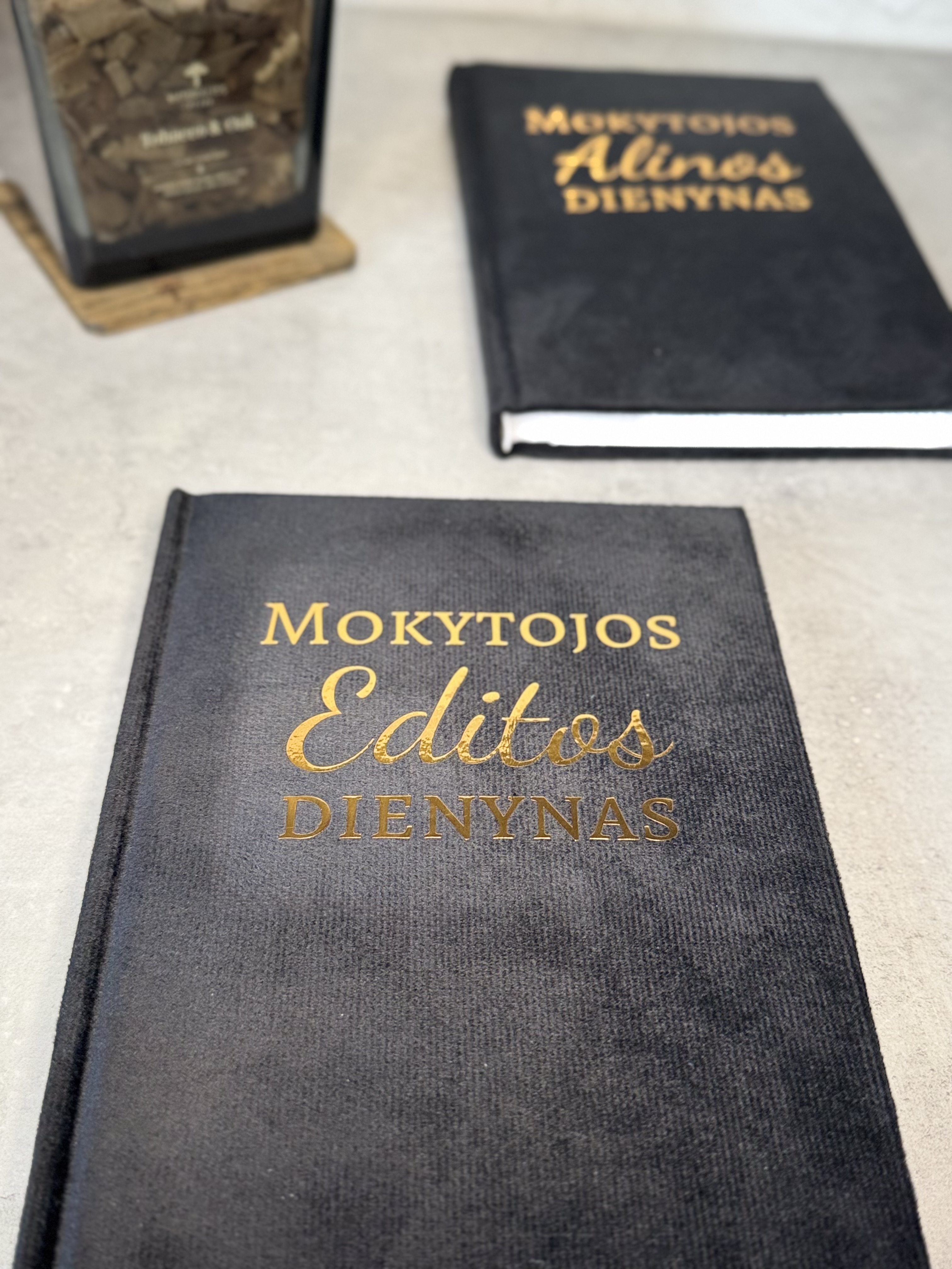 Personalizuota Mokytojo Knyga - Dienynas
