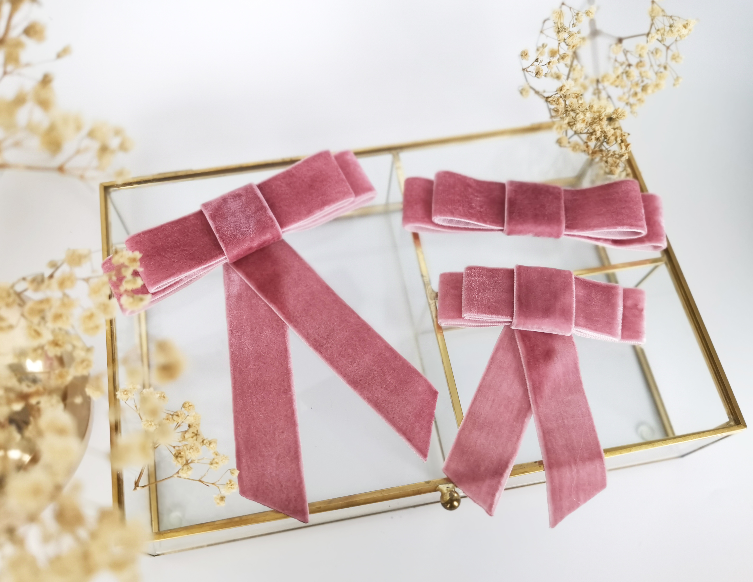 Aksominis Segtukas, PELENŲ ROŽINĖ