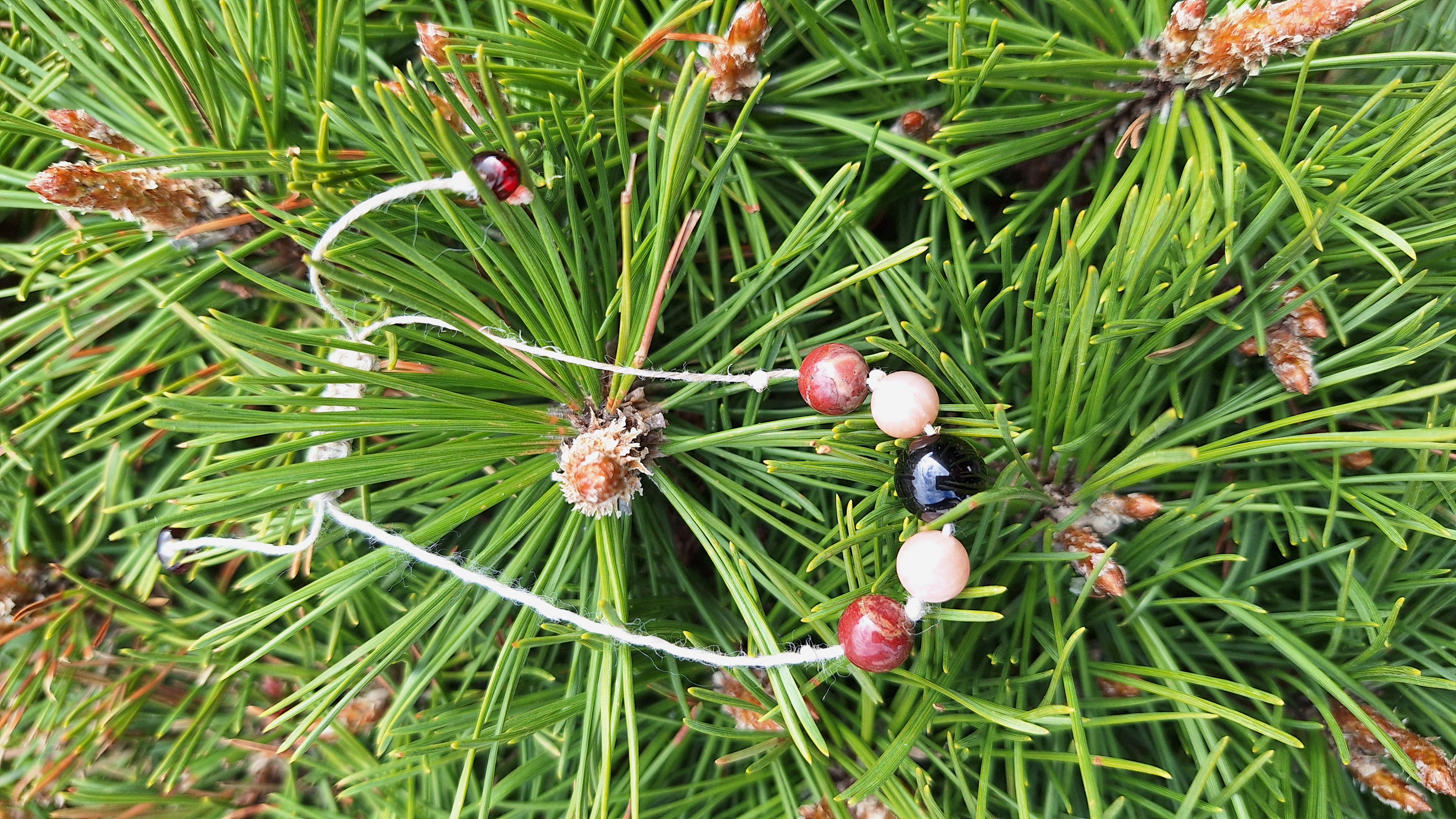 Apyrankė ant siūlo "Įsižeminimas"