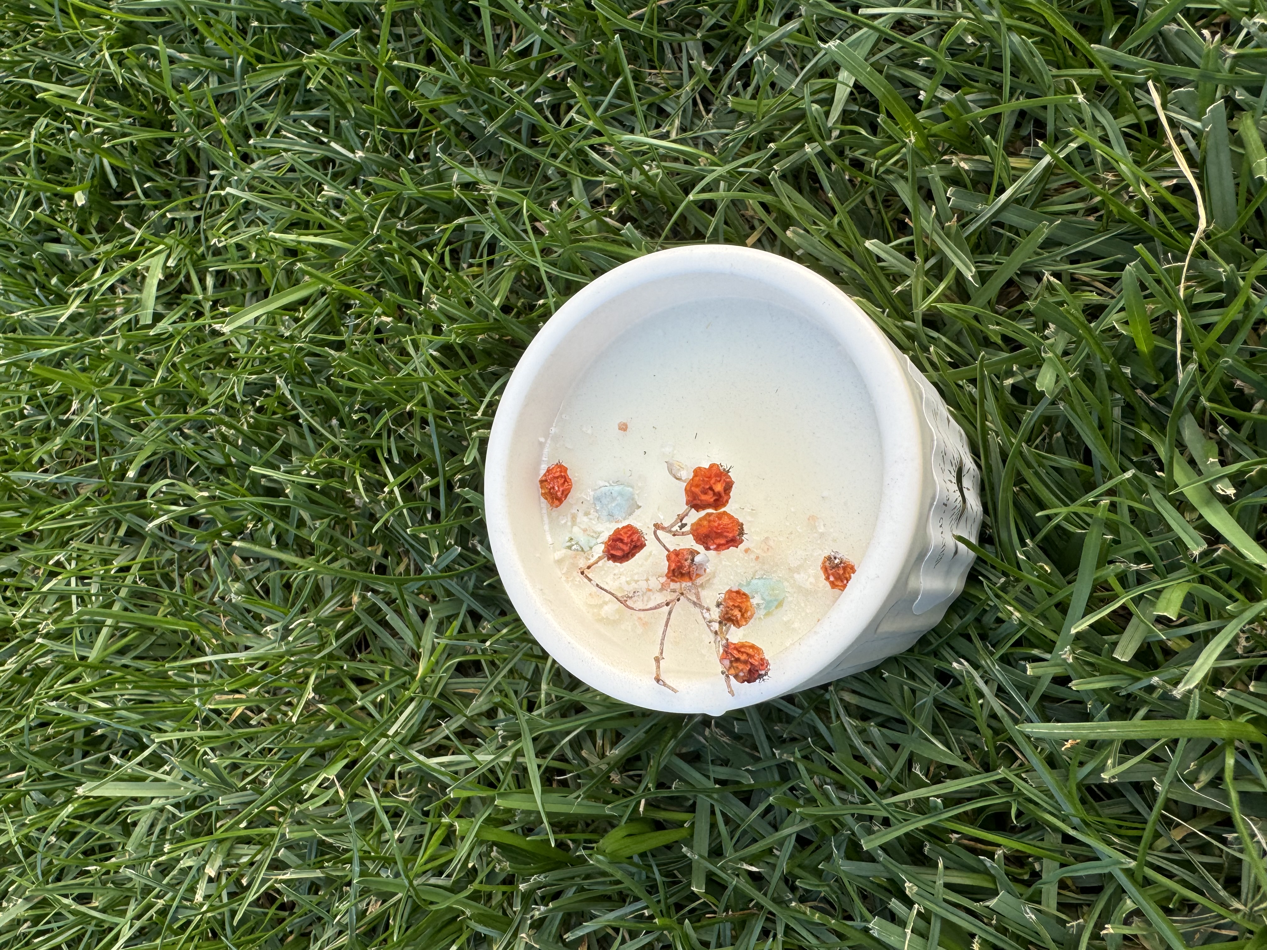 Natūrali sojų vaško žvakė “Šermukšnis", 180