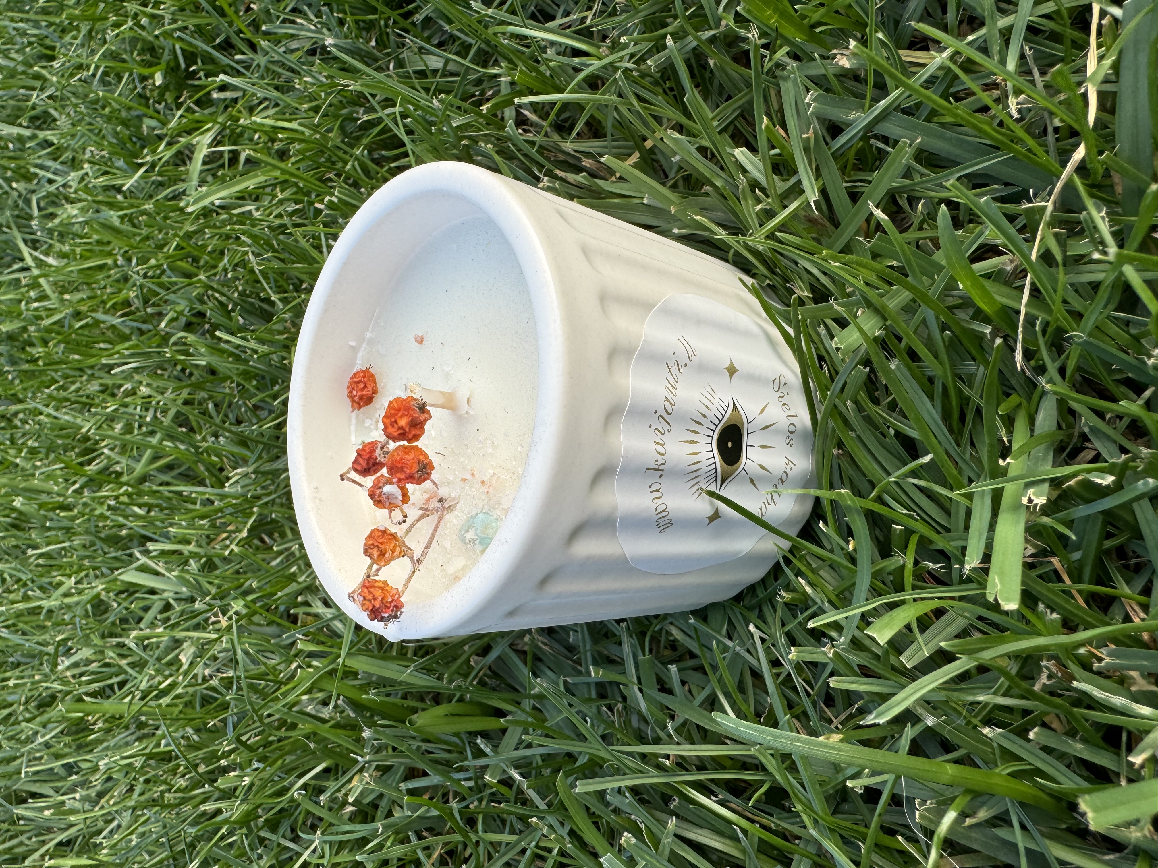 Natūrali sojų vaško žvakė “Šermukšnis", 180