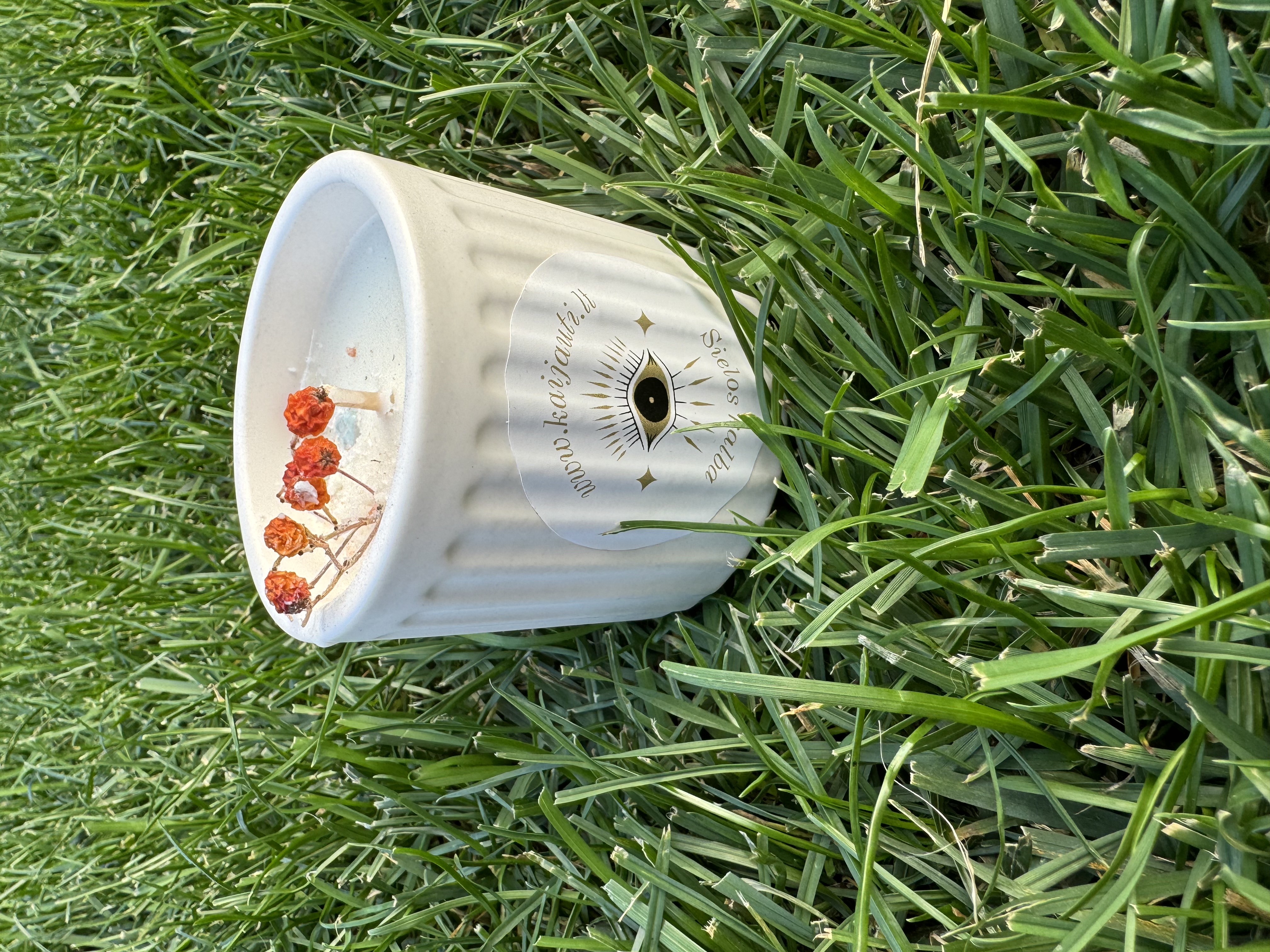 Natūrali sojų vaško žvakė “Šermukšnis", 180