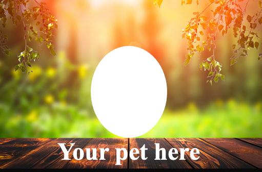 Custom pet and custom background