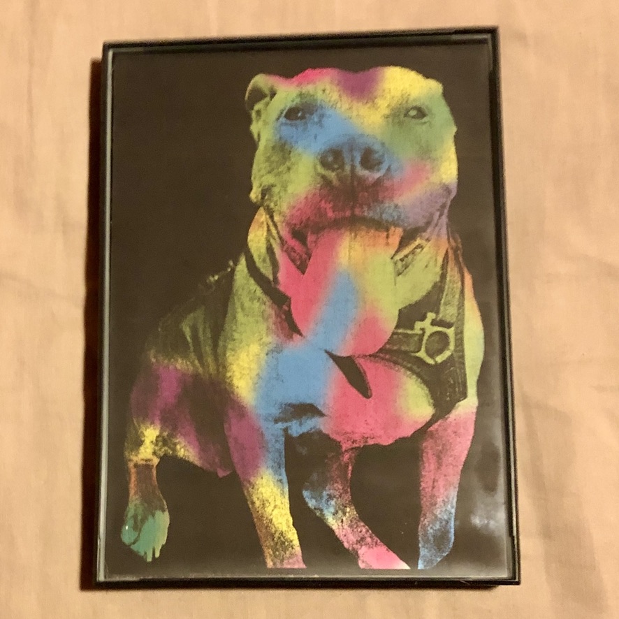 Rainbow picture