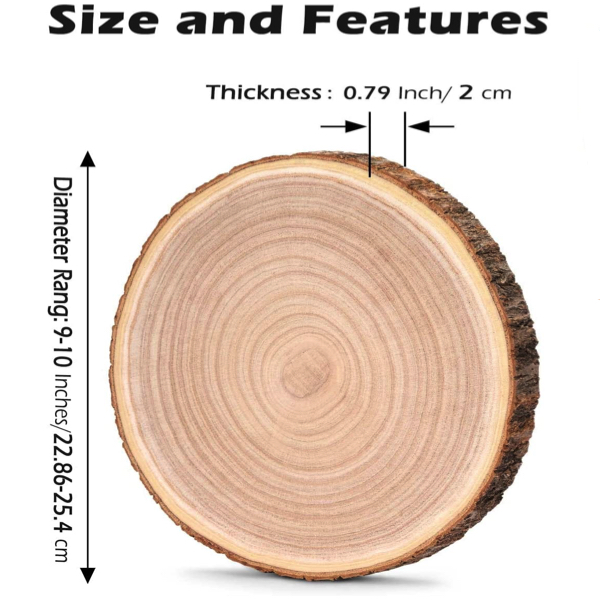 Eagle (side view) on Paulownia wood slice