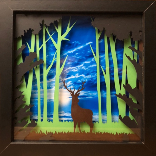 Deer shadow box with different backgrounds