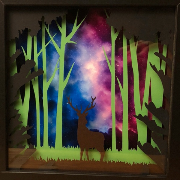 Deer shadow box with different backgrounds